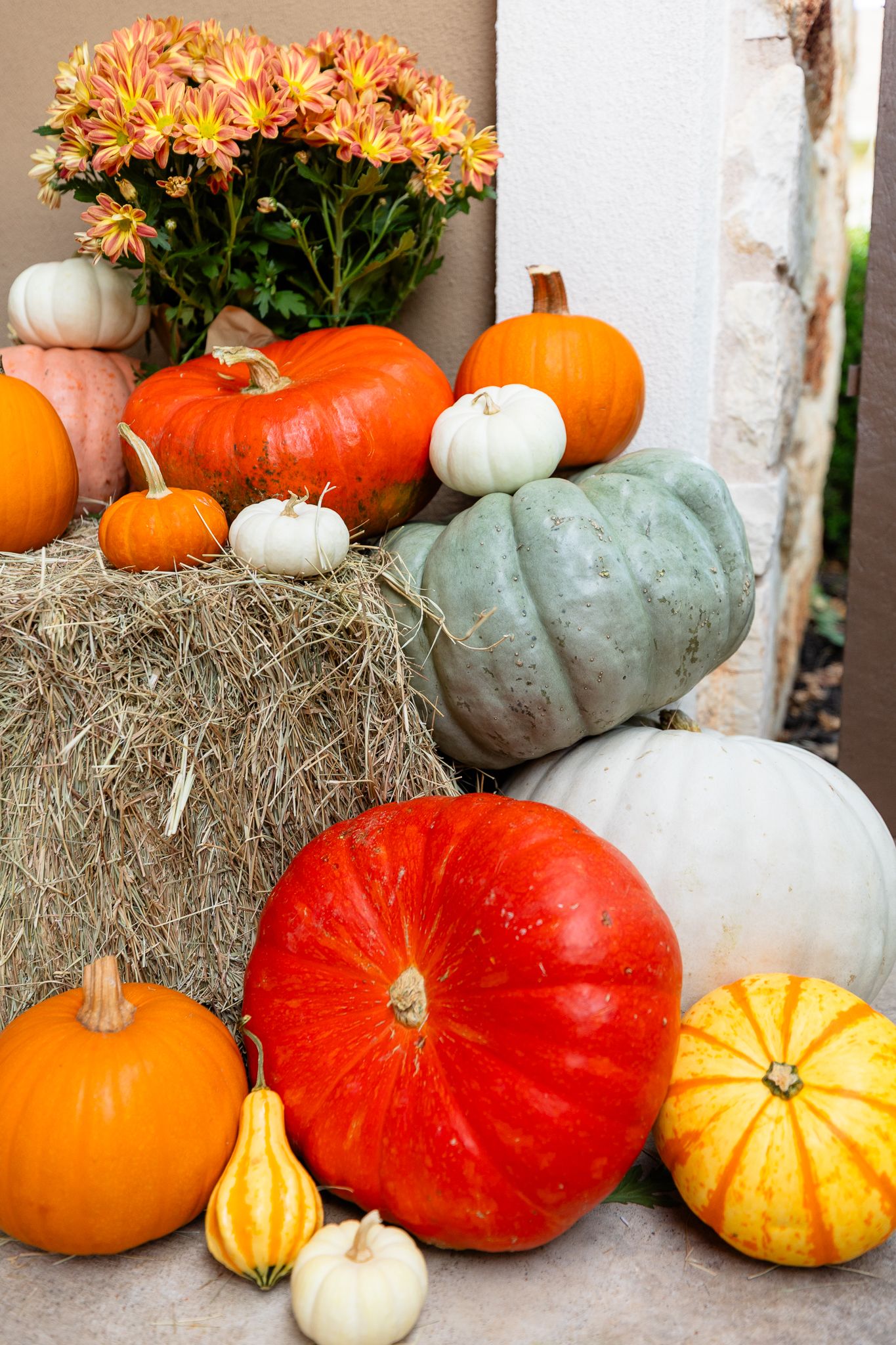 A collection of colorful autumn pumpkins and gourds arranged on hay bales with orange chrysanthemum flowers.