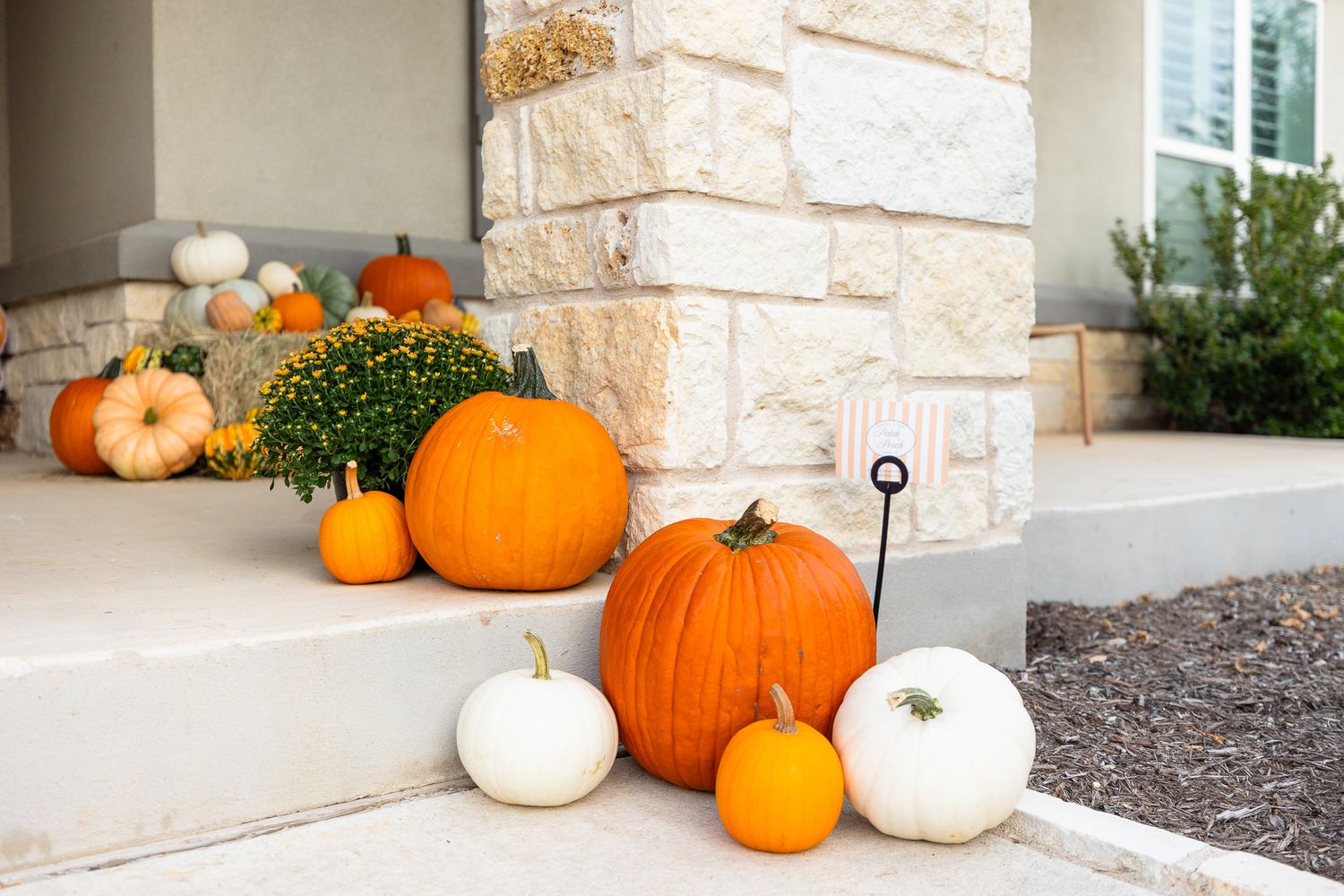 Orange and white pumpkins arranged decoratively along a stone foundation wall with green plants and mulch.