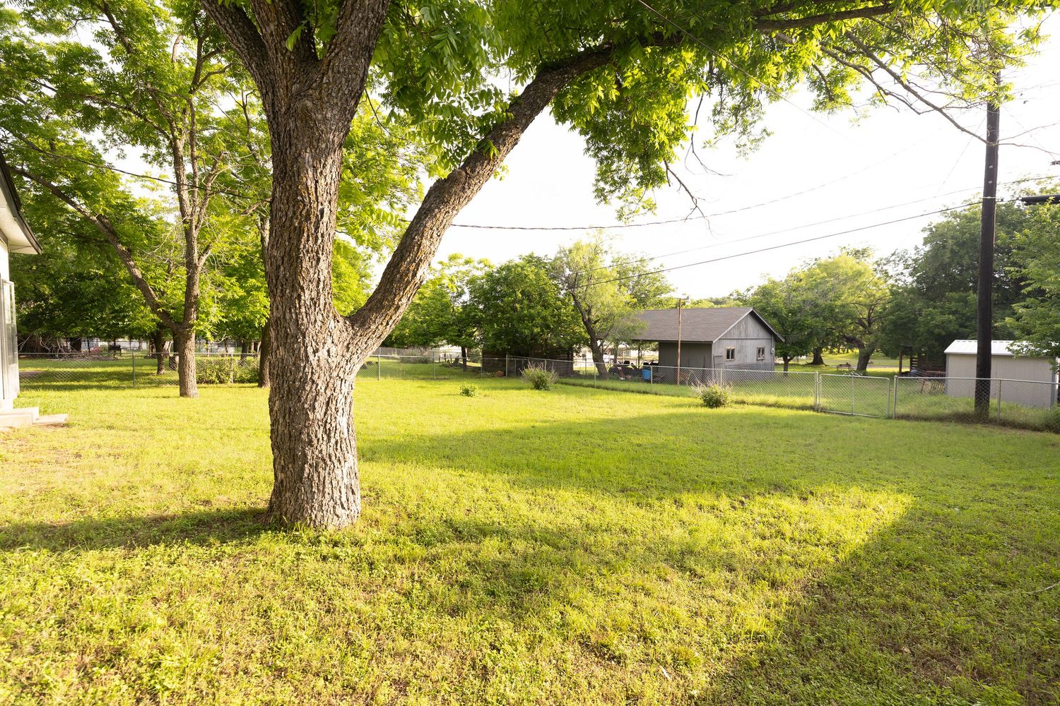 Spacious green yard with large shade tree and small white house visible in background on sunny day.