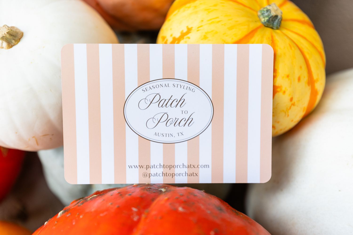 Mini orange pumpkins and pink striped gift cards arranged on a white surface create a festive autumn display.