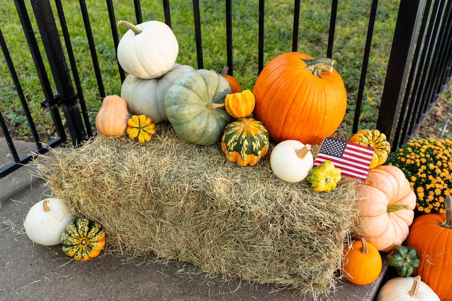 Fall harvest display with orange pumpkins, white gourds, hay bales, and yellow flowers arranged against a metal fence.