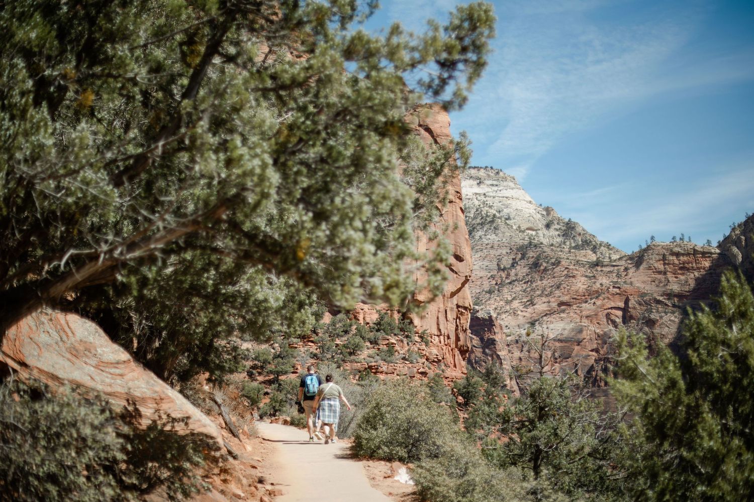 Hikers traverse a scenic dirt trail winding through red rock formations and green vegetation in Zion National Park.