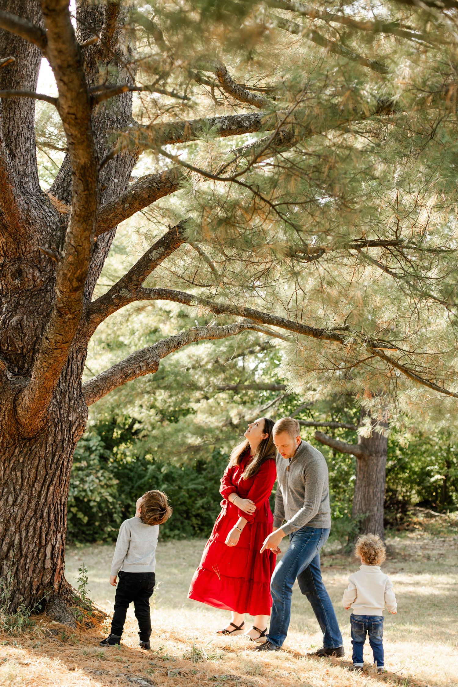 Family sharing a tender moment under a large pine tree in a natural outdoor setting.