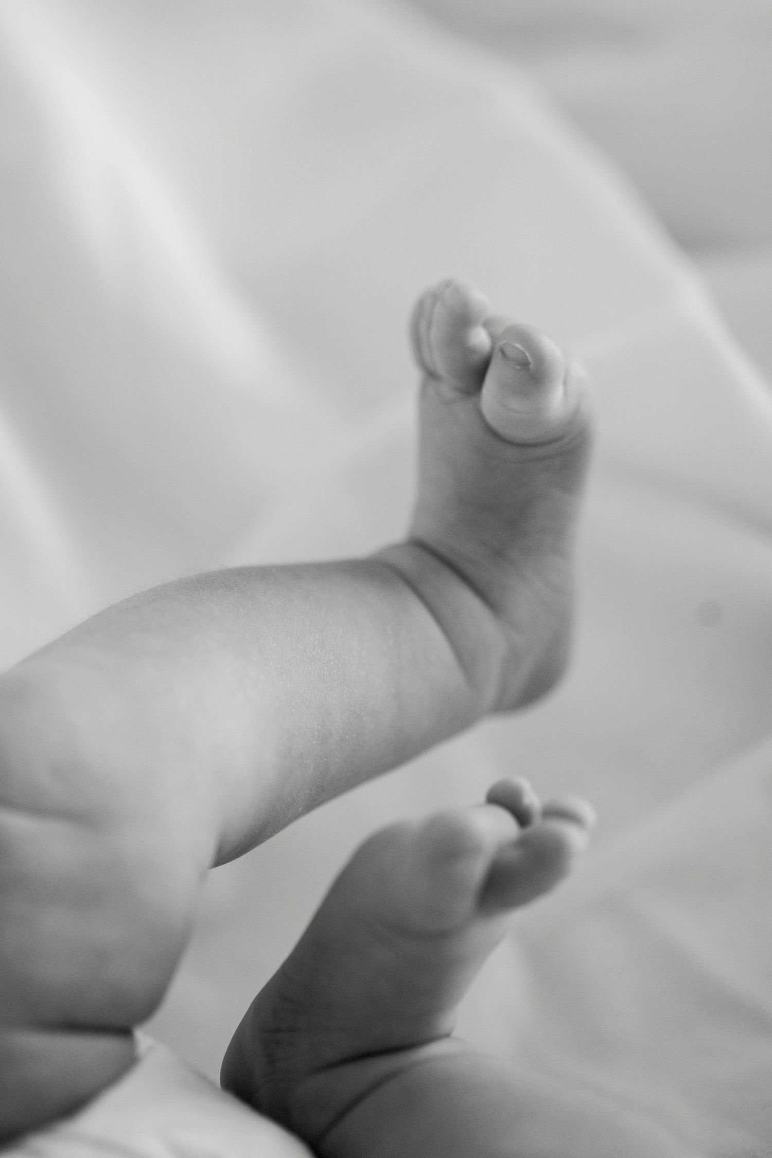 Close-up black and white photo of tiny baby feet against soft white fabric. KC Newborn Photographer Hannah Rogg Taylor.