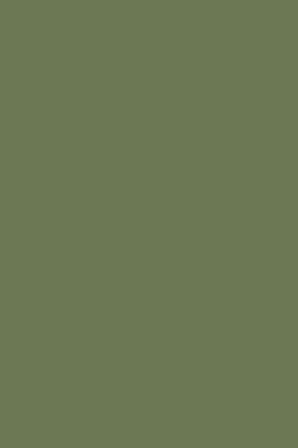 Image with a soft sage green background, creating a peaceful and natural vibe that enhances the subject with a calming and earthy tone.