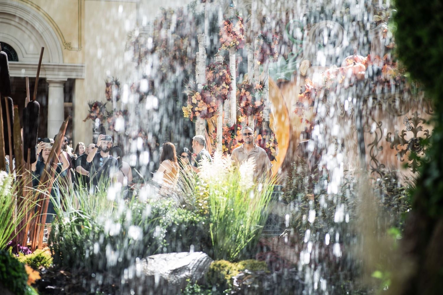 Water falls on grass at Las Vegas Bellagio Conservatory.