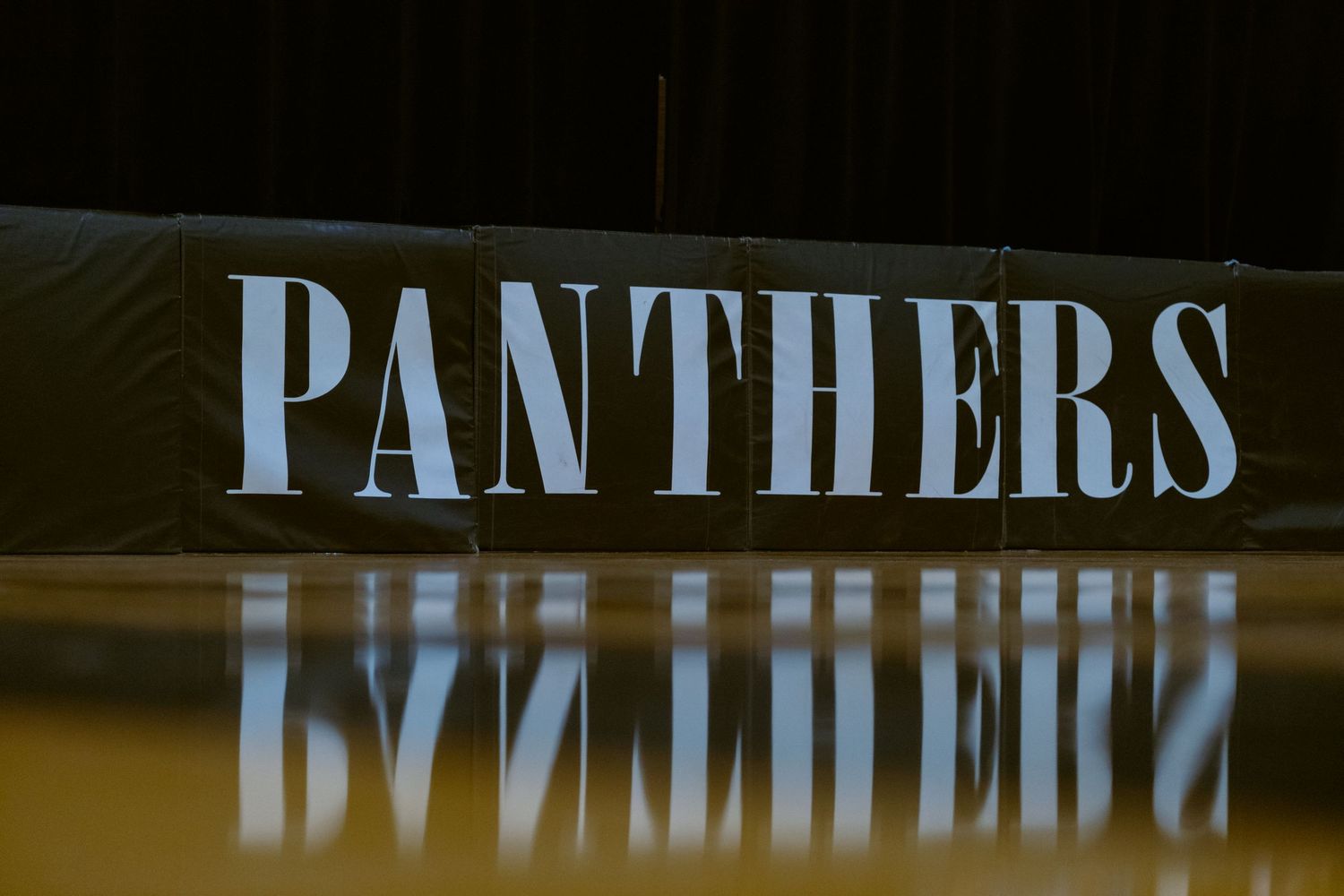 Illuminated Panthers text signage displayed in dark stadium setting.