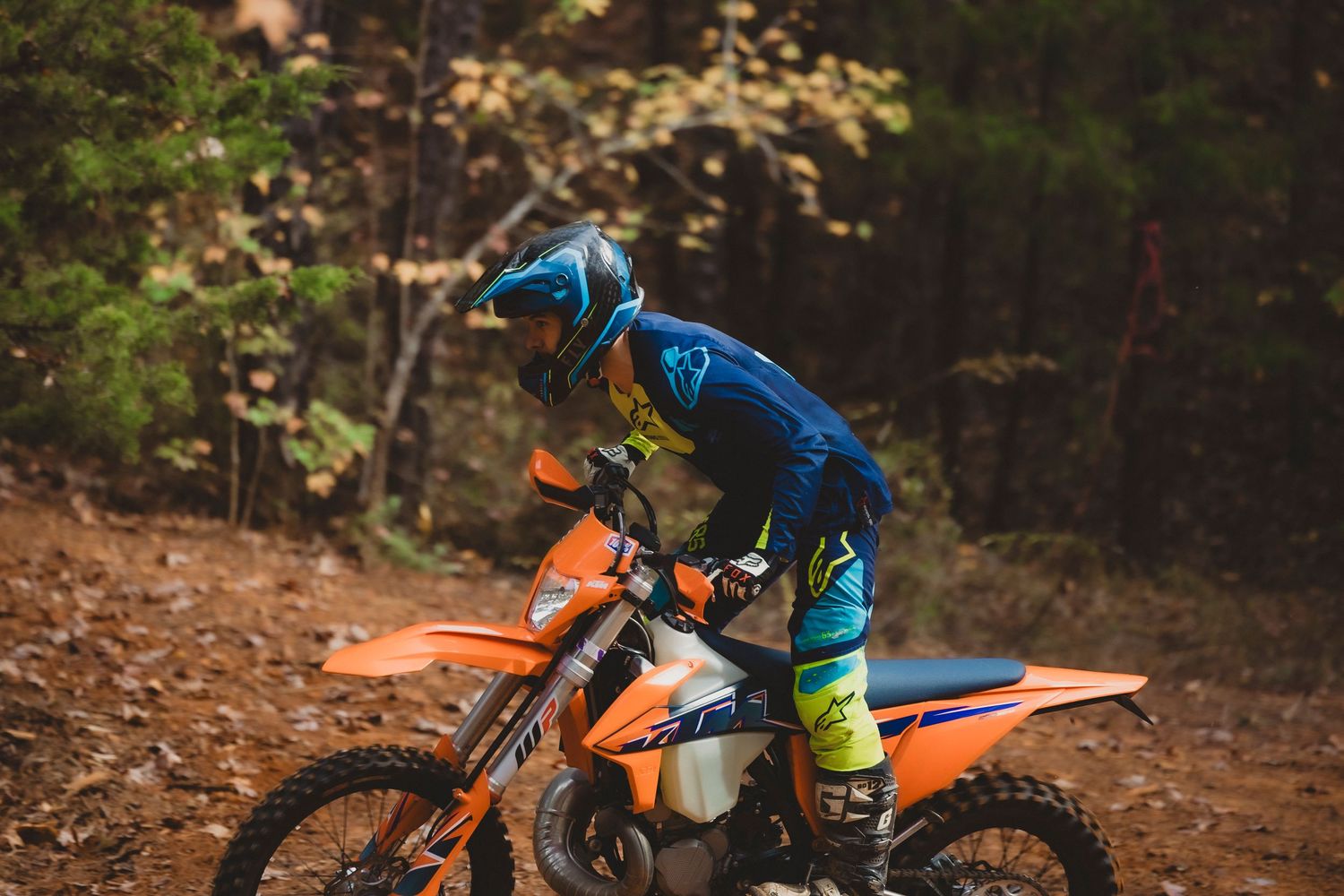 Action shots of a dirt bike rider navigating through a forest trail.