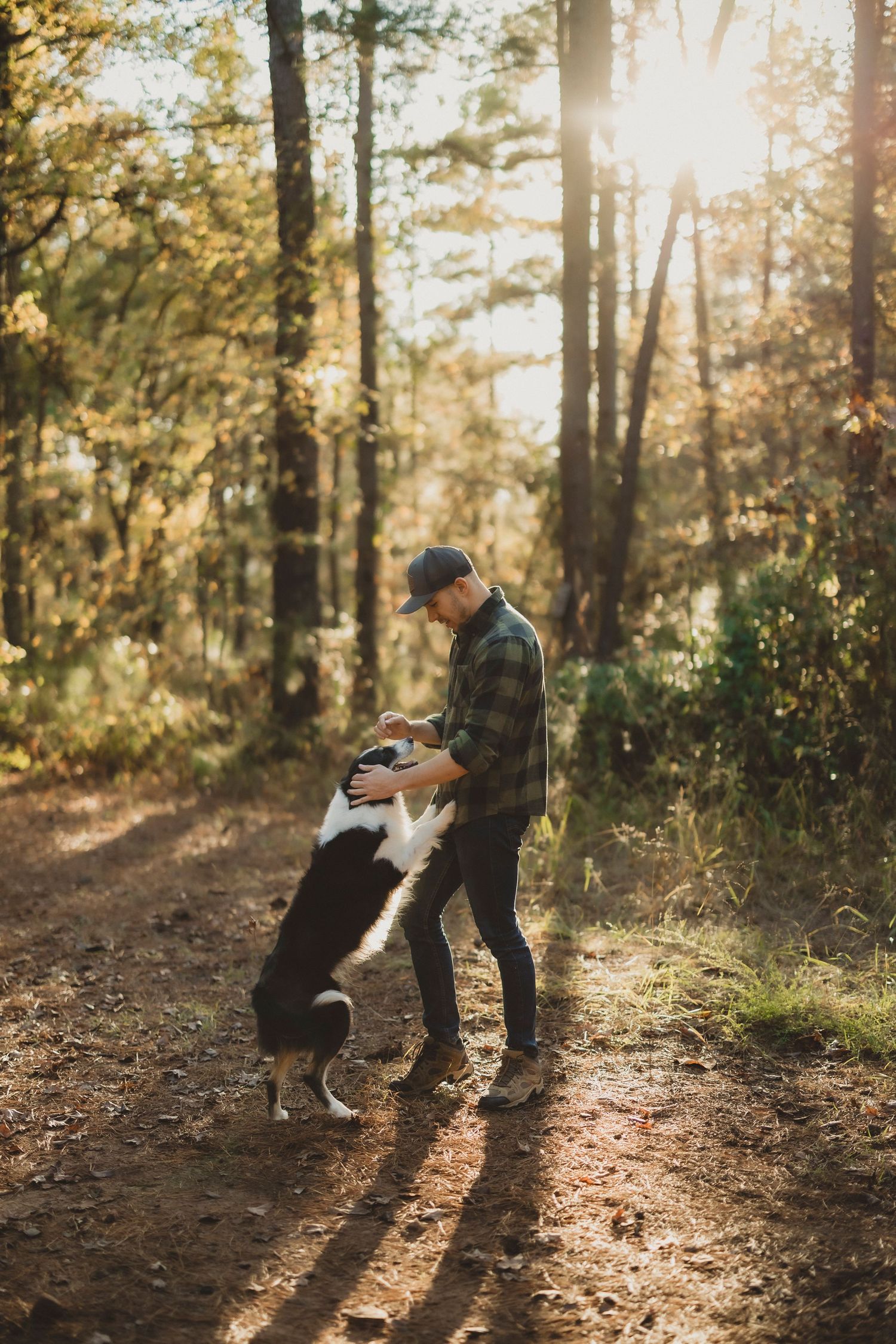Playful interaction between a dog and its companion in a sunlit wooded area.
