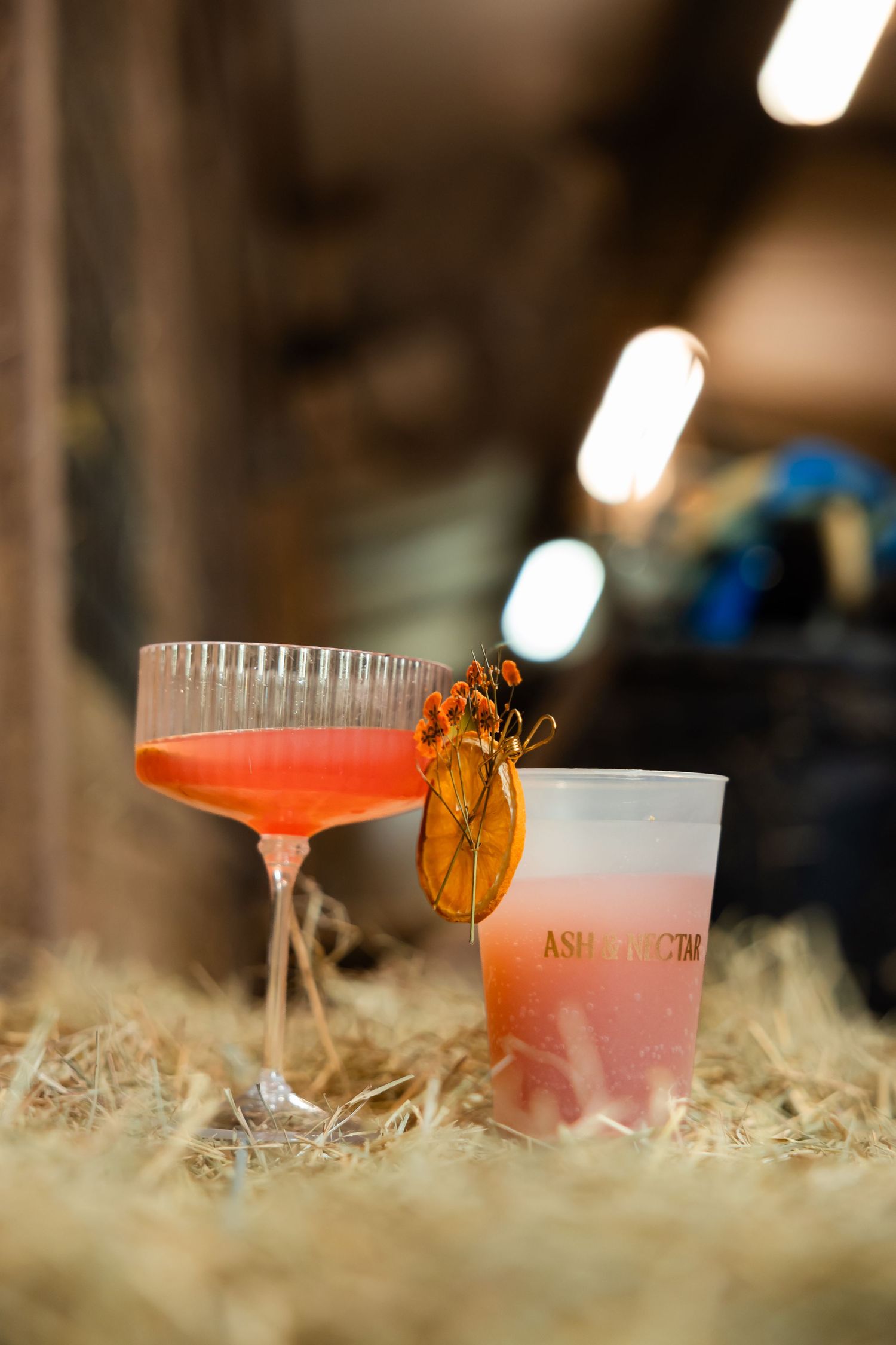 Two cocktails on hay, a pink coupe glass with dried orange garnish and a frosted cup labeled Ash & Nectar.