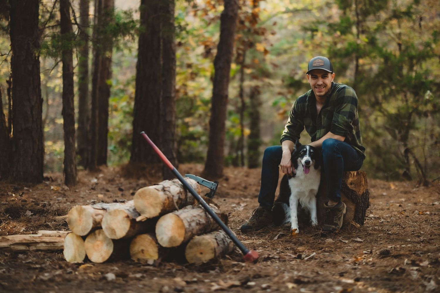 Person and dog relaxing among fallen logs in autumnal forest setting.