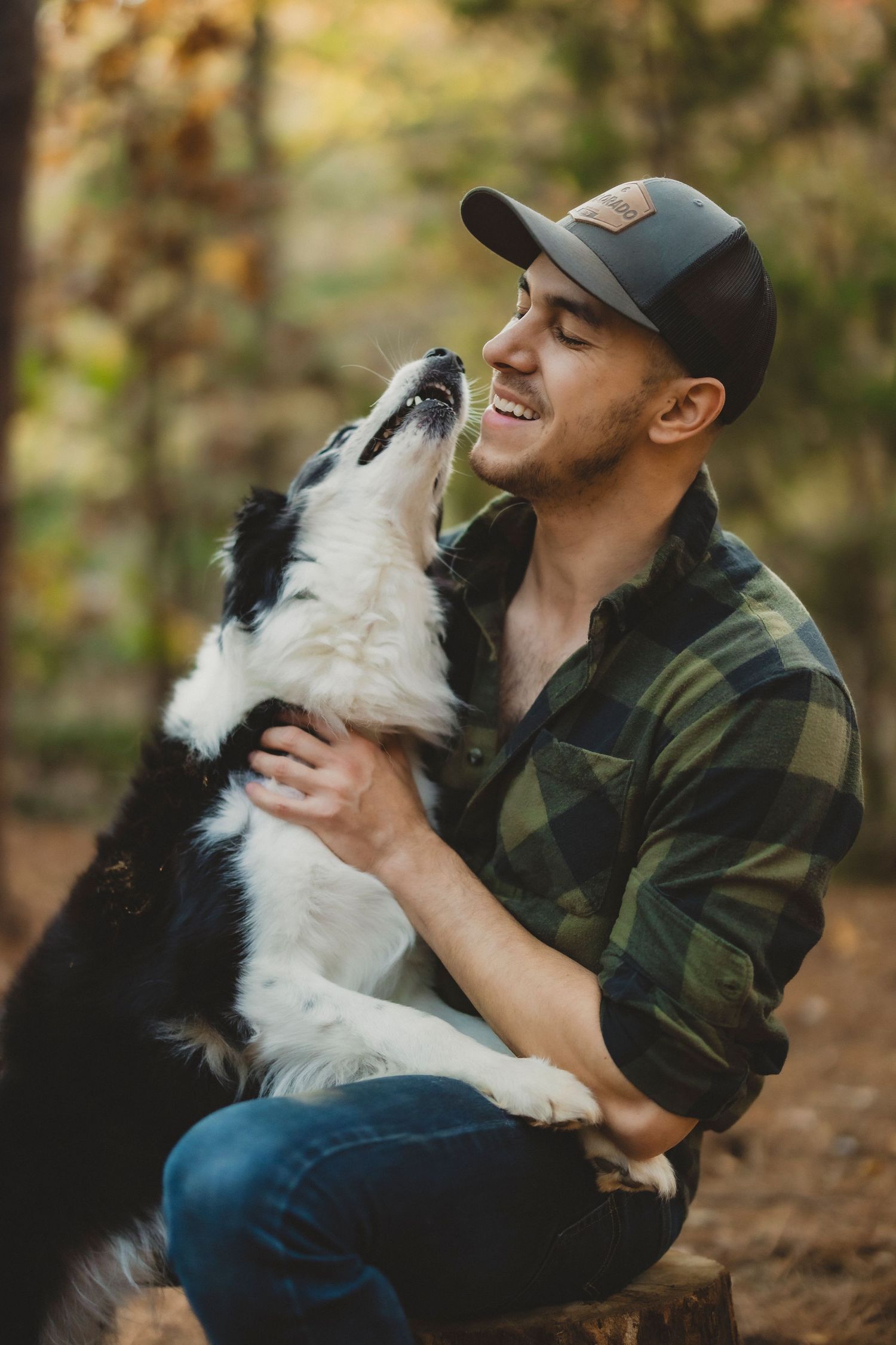 Heartwarming moments between person and their Border Collie dog in outdoor setting.