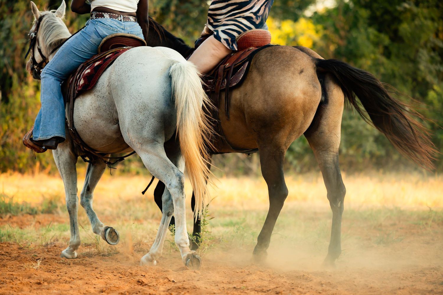 Two riders on horseback, one on a white horse and one on a brown horse, riding on dusty terrain outdoors.