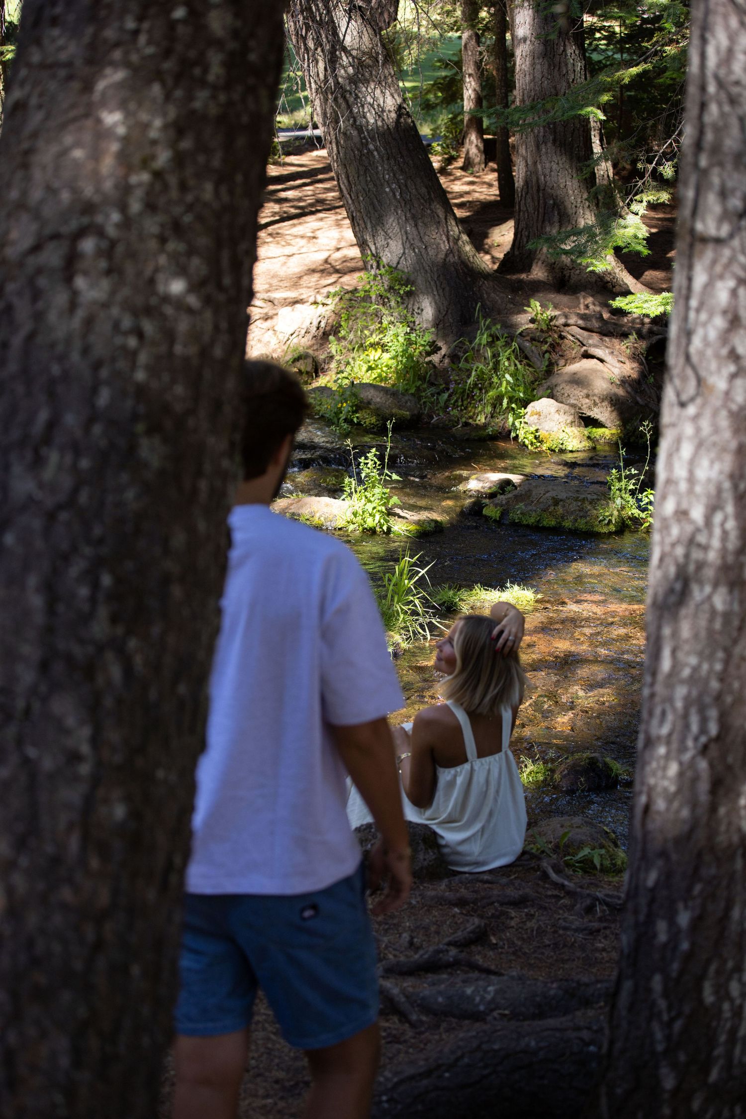 Couple holding hands by a serene forest creek surrounded by tall trees and dappled sunlight.