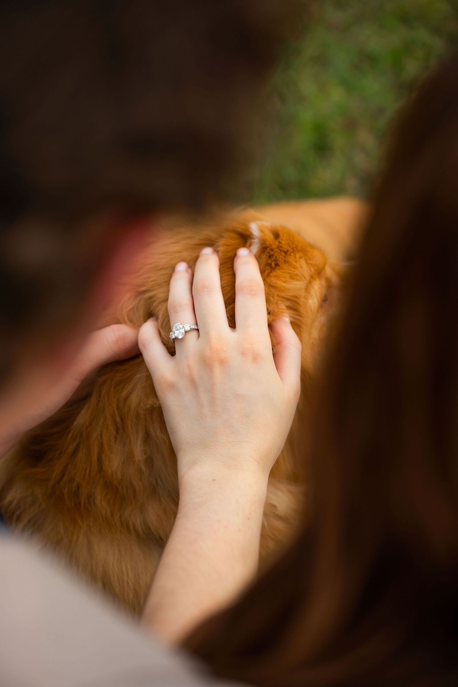 A woman's hand adorned with a diamond engagement ring gently pets a fluffy golden retriever dog.