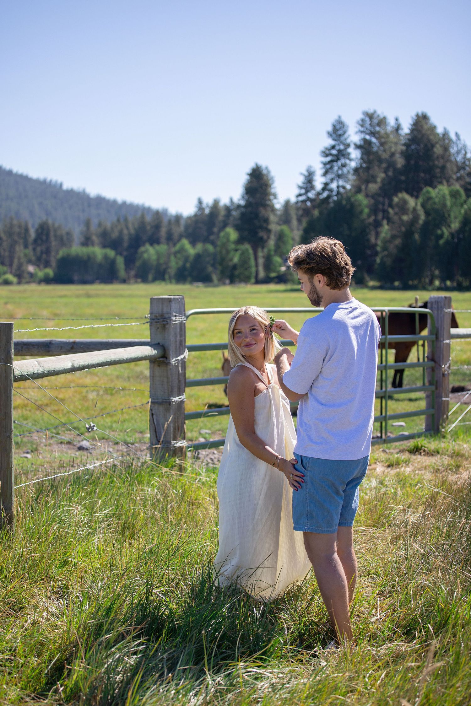 A couple holds hands near a rustic wooden fence in a sunny green meadow with pine trees and a horse in the background.