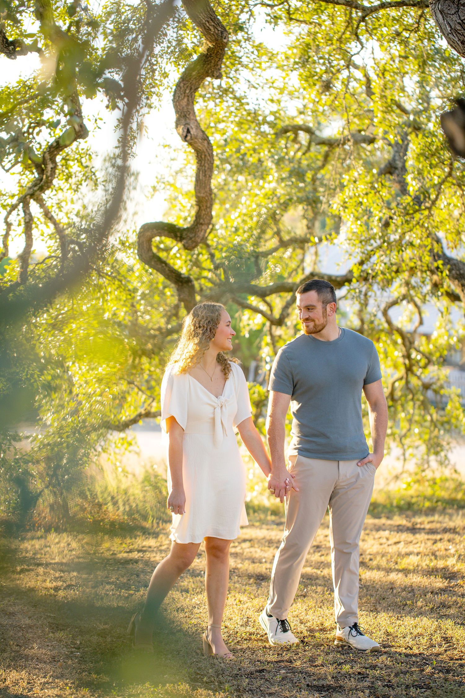 A newly engaged couple walking together under twisted tree branches in golden sunlight.