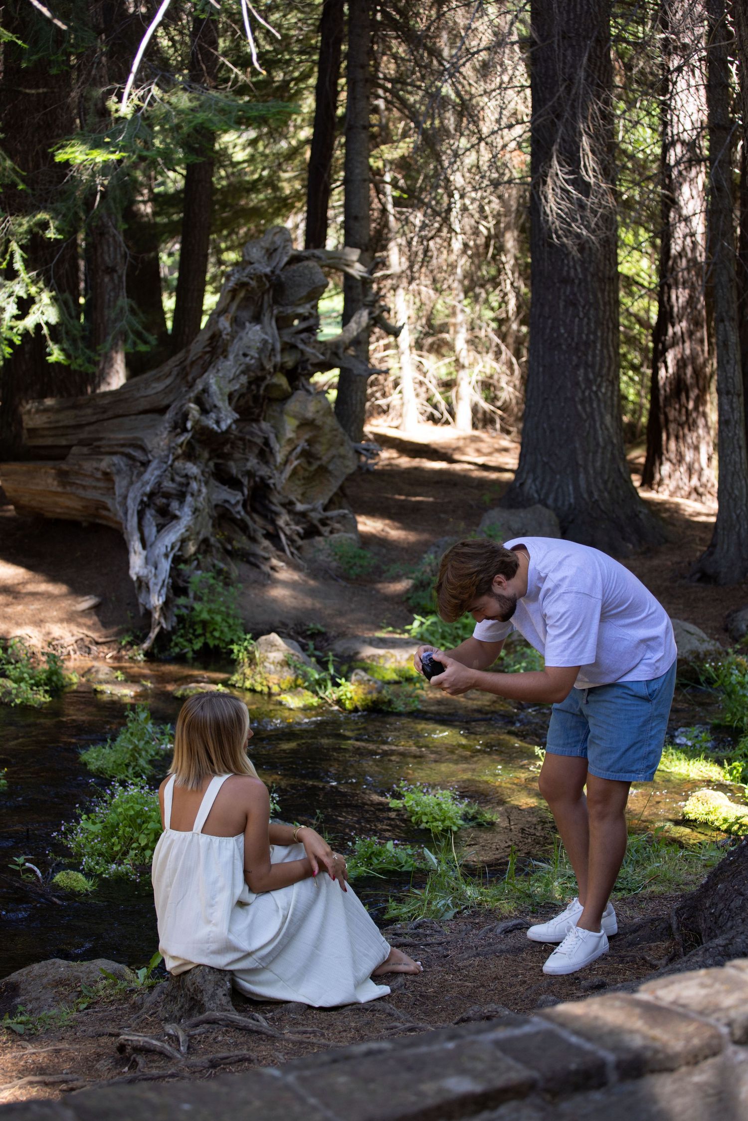 Man photographing woman in white dress sitting by a forest creek surrounded by tall pine trees and mossy rocks.