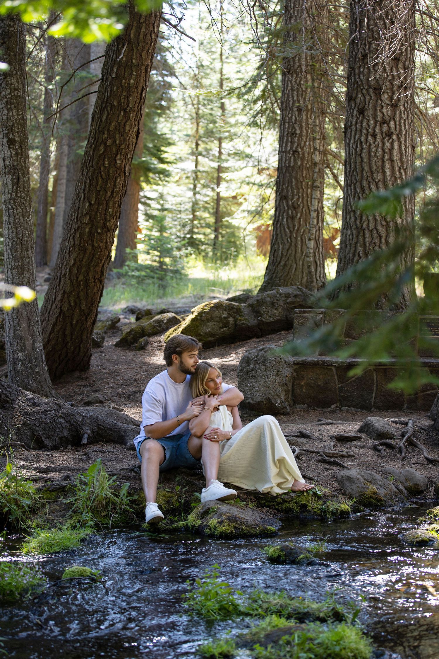 Couple sitting together on rocks by a forest stream surrounded by tall pine trees in soft natural light.
