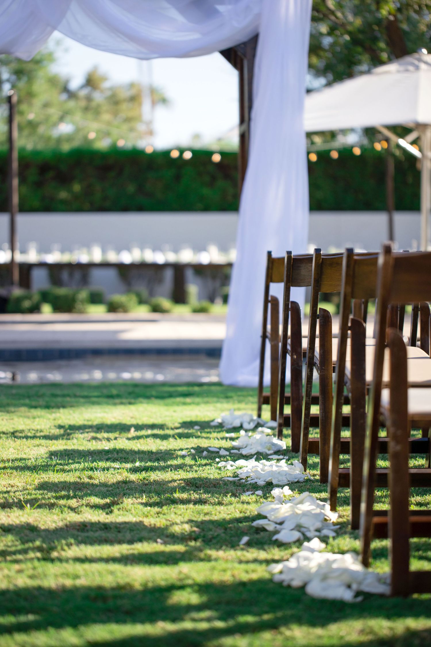An outdoor wedding aisle lined with wooden chairs and white flower petals under a draped canopy in Scottsdale, Arizona.
