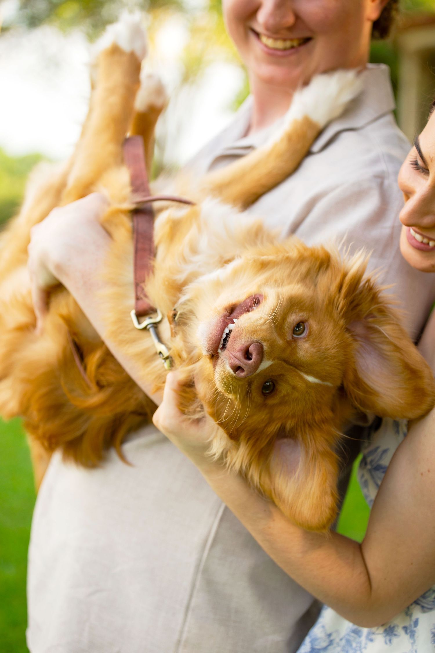 Two people smiling and holding a happy golden retriever puppy upside down outdoors in a green park setting.