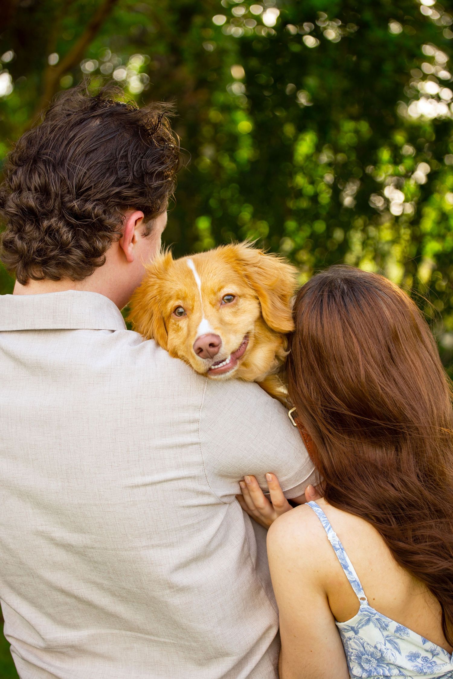 Couple seen from behind holding a happy golden retriever dog outdoors in a lush green park setting.