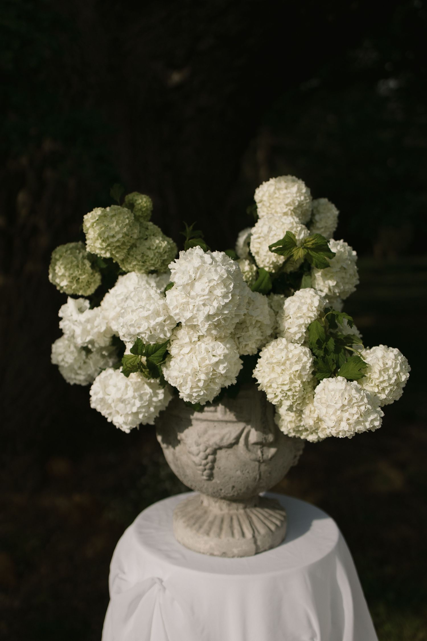 White hydrangea flowers arranged in a classic stone urn vase atop a white cloth-covered pedestal against a dark background.