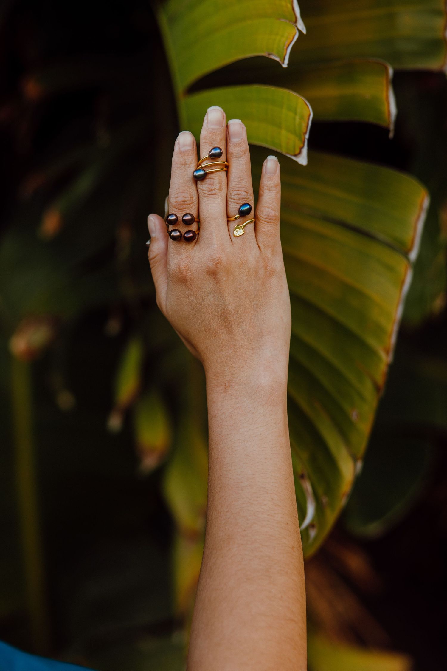 Hand wearing multiple gold rings shown against a large tropical banana leaf in moody lighting.