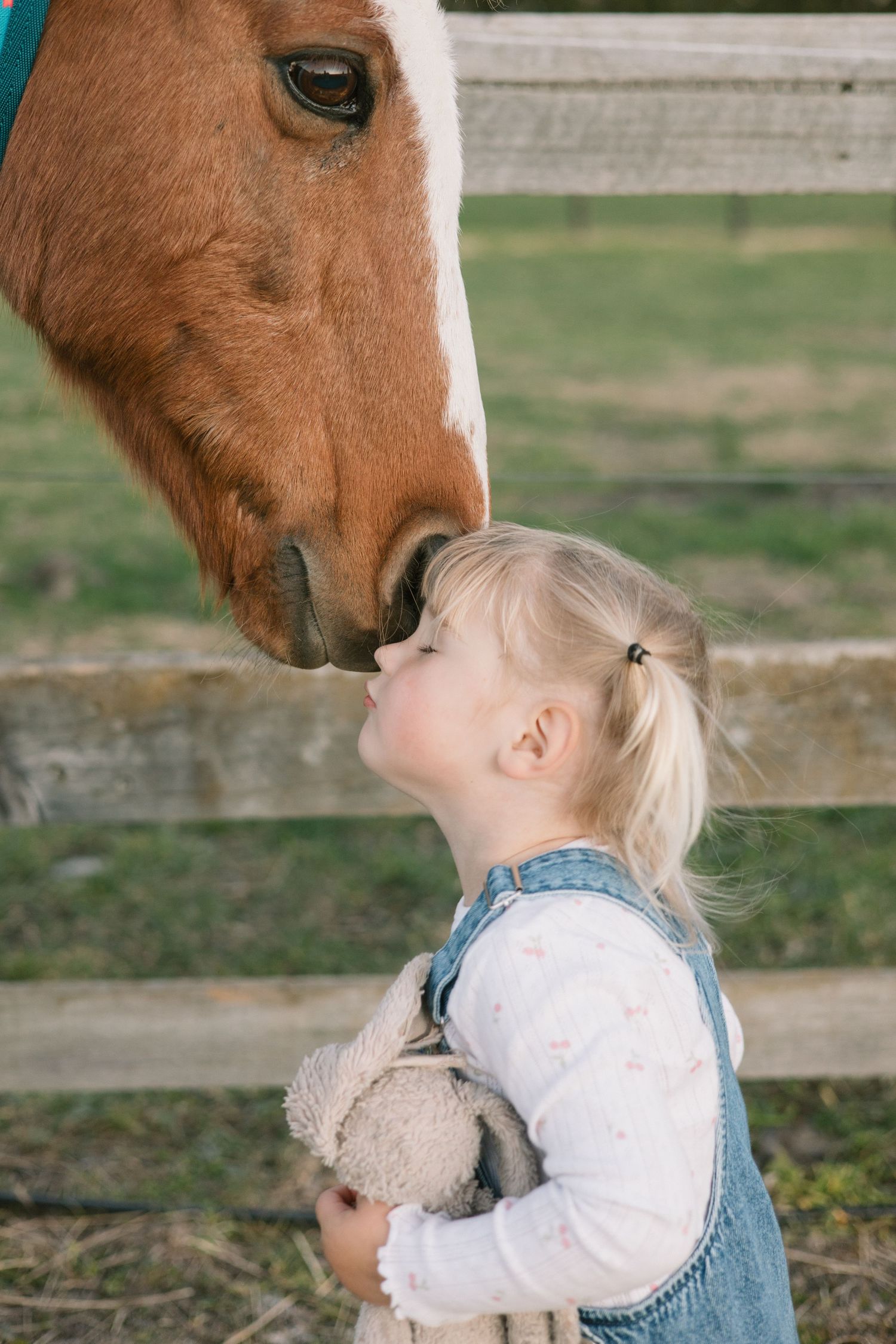 A gentle moment between a brown horse and a small child in denim overalls sharing a nose kiss.