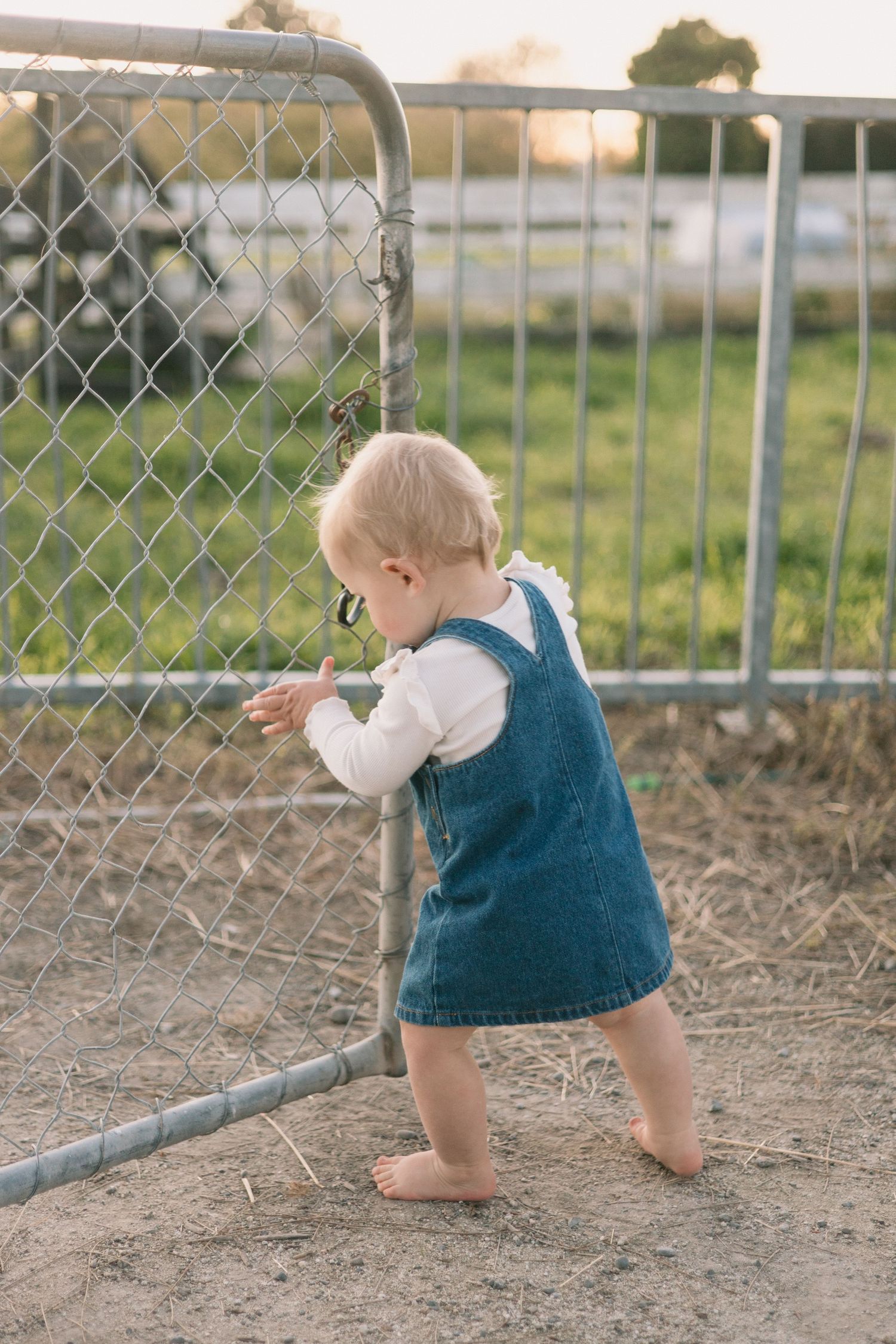 A barefoot toddler in denim exploring near a chain-link fence during golden hour.
