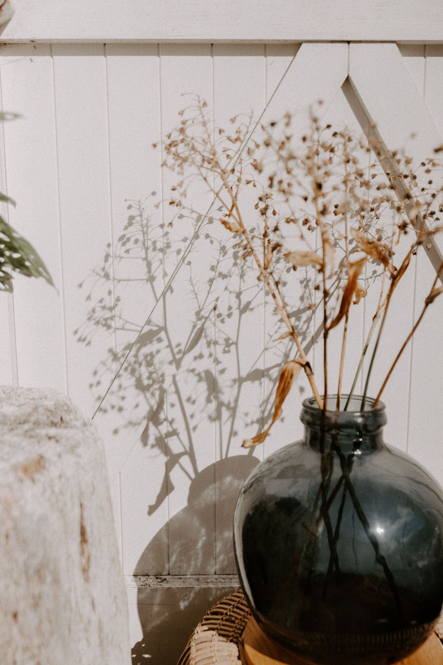 Dried flowers and grasses arranged in a dark glass vase against a white wall with soft shadows.