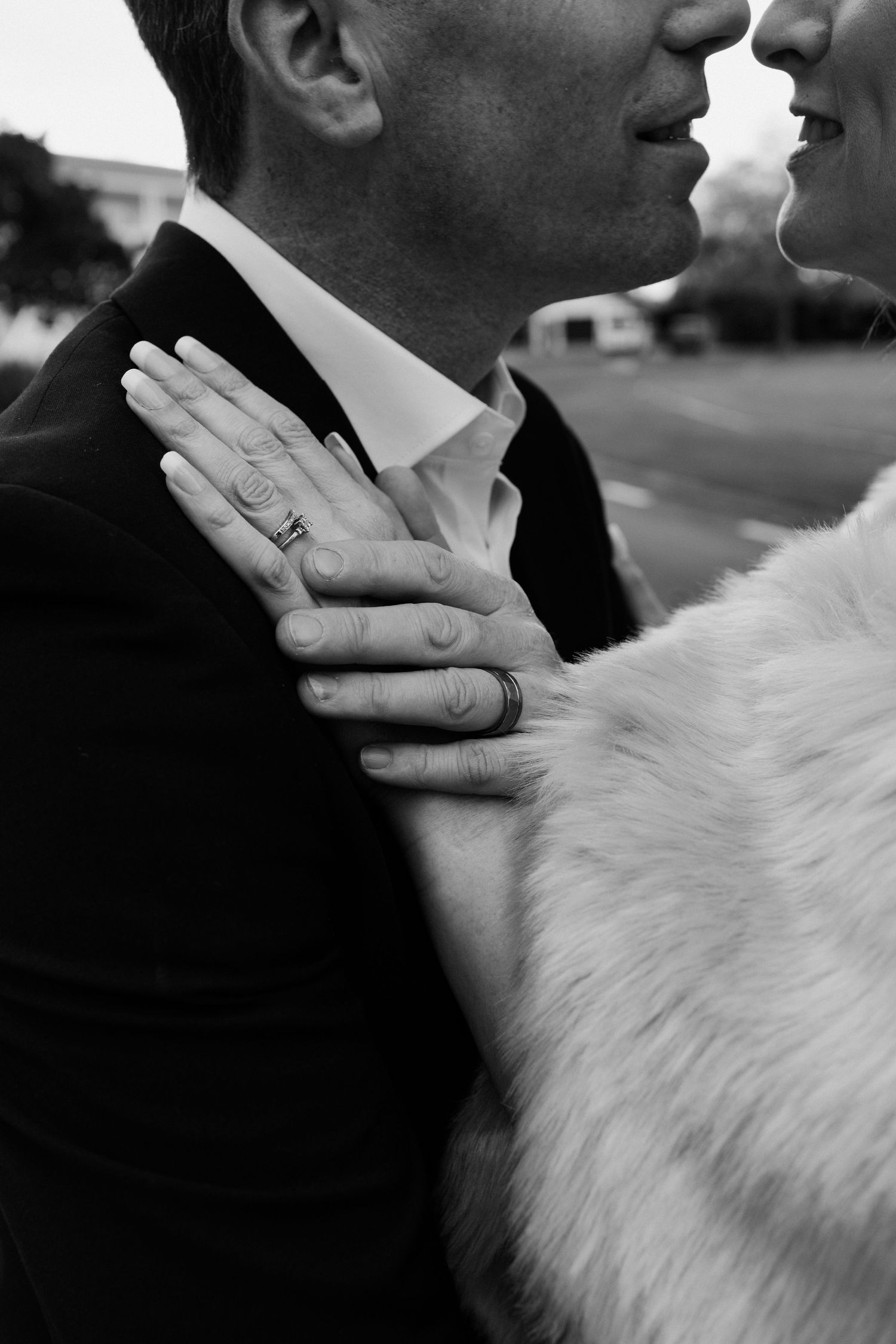 A close-up black and white photograph showing hands gently petting a white fluffy cat.