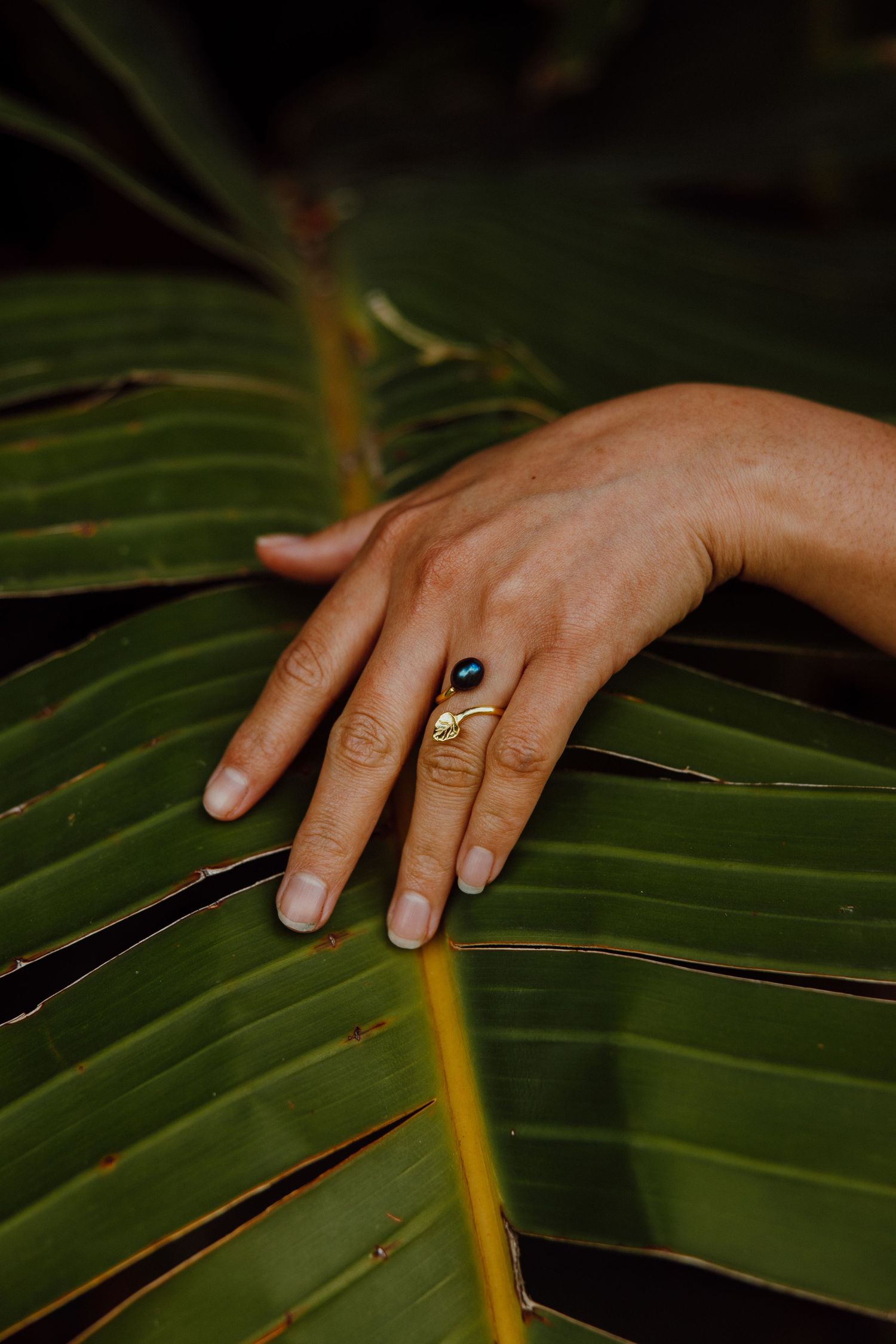 A hand wearing dainty rings delicately rests on a large tropical green palm leaf in moody lighting.