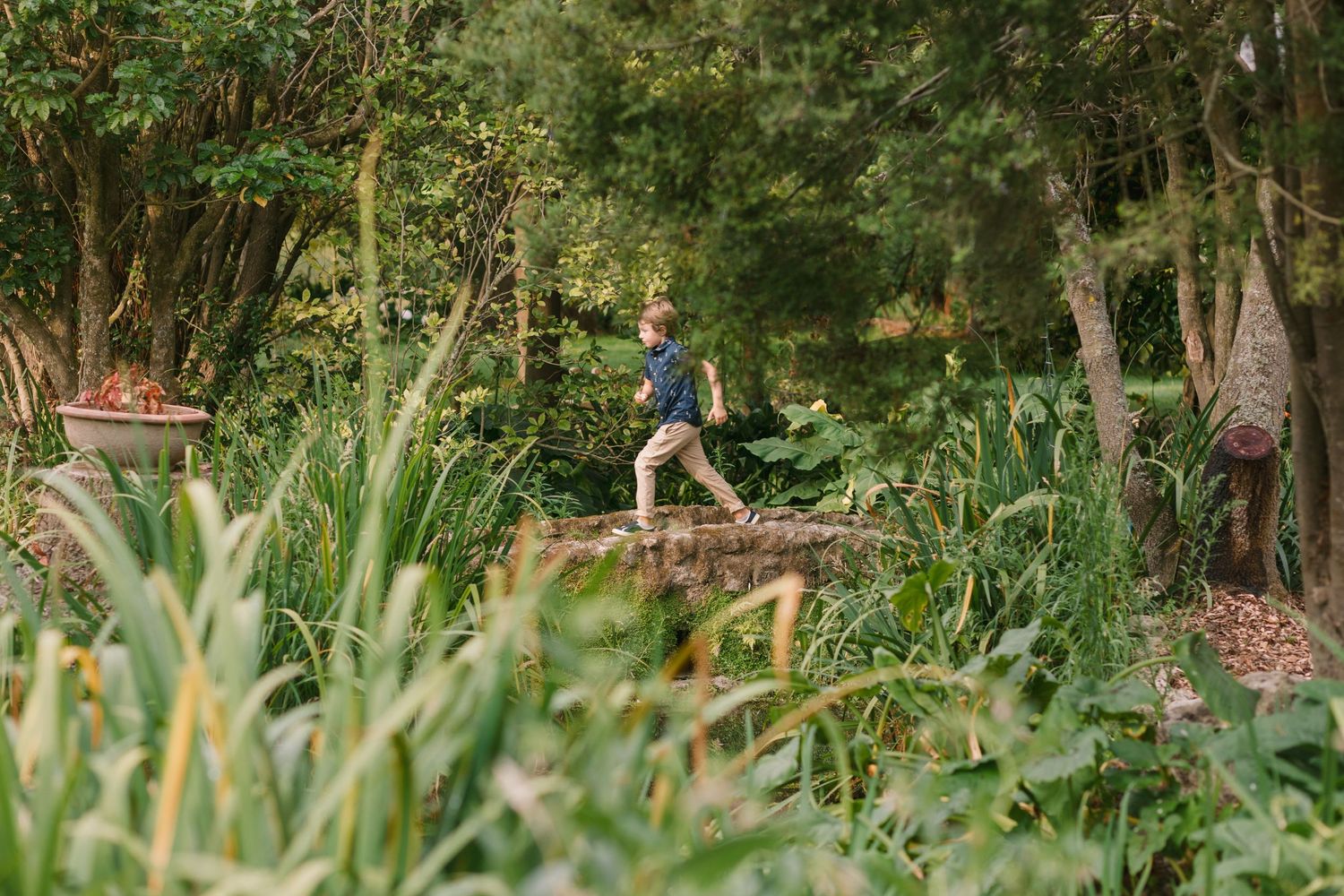 Person walking across rustic wooden bridge surrounded by lush garden landscaping.