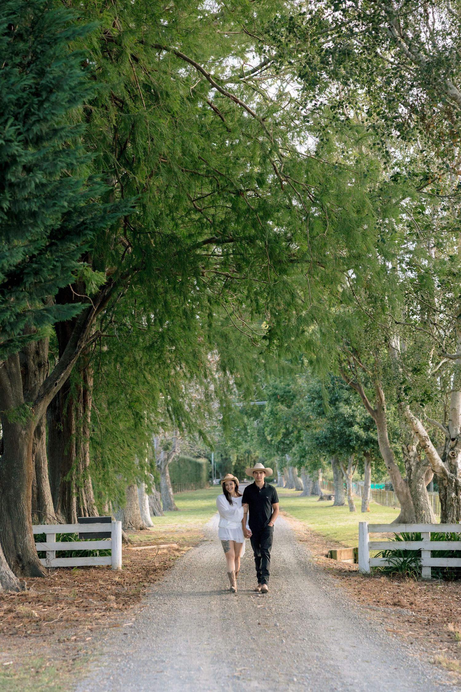 A couple strolls together on a tree-lined path with white fences on a sunny day.