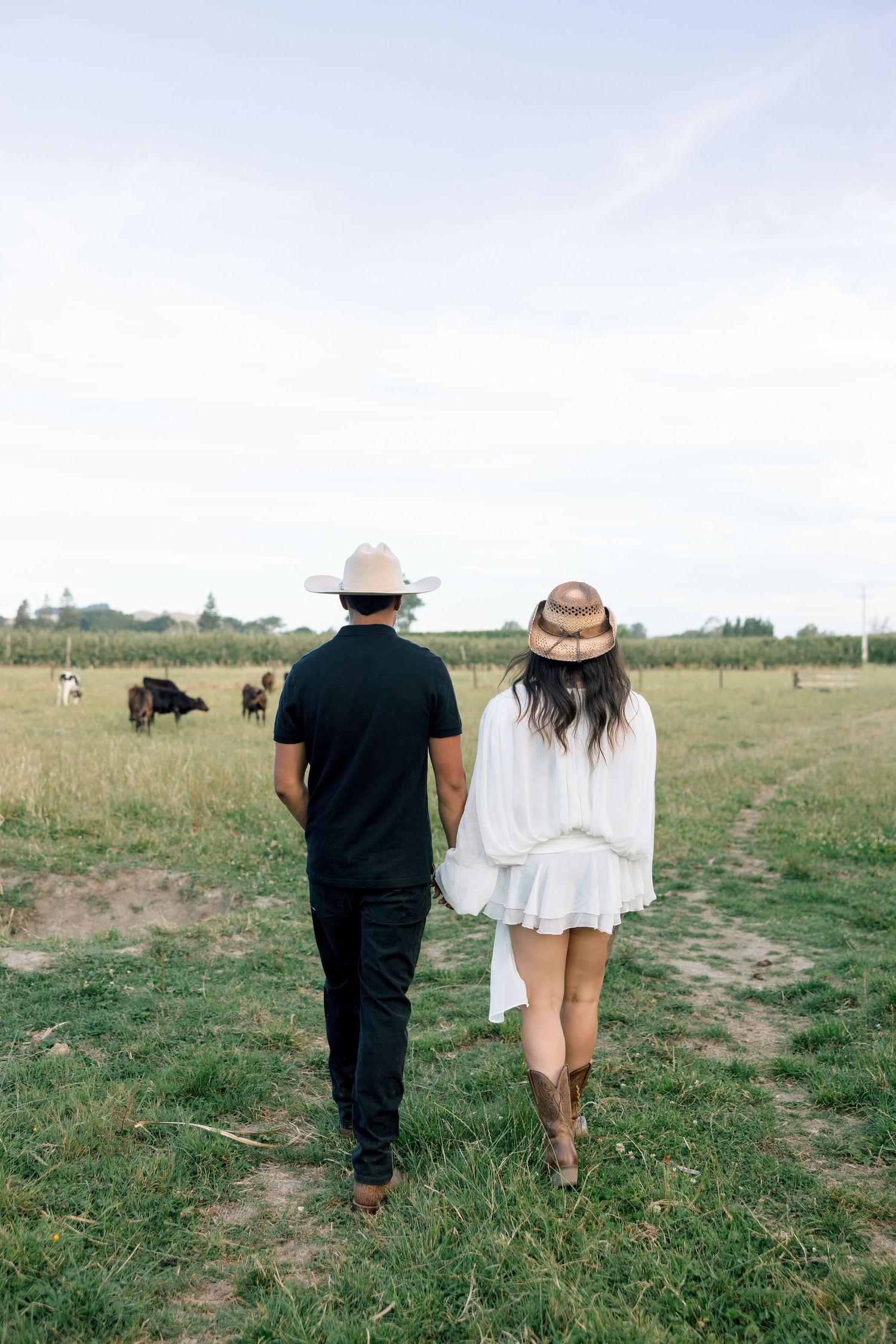 A couple in western attire walking through a pastoral field with cattle grazing in the background.