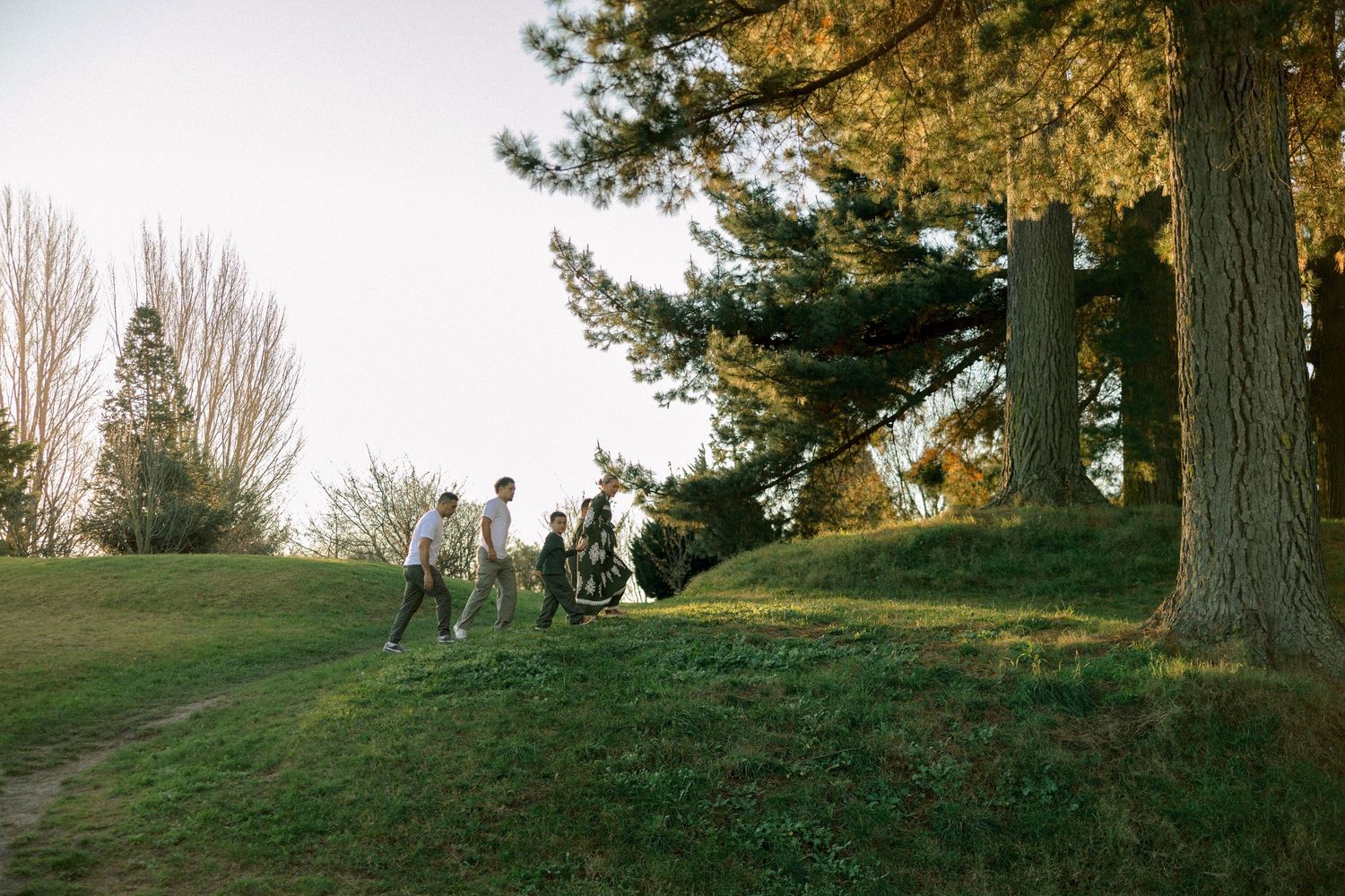 Group of people walking up a grassy hill near tall trees in a park during golden hour.