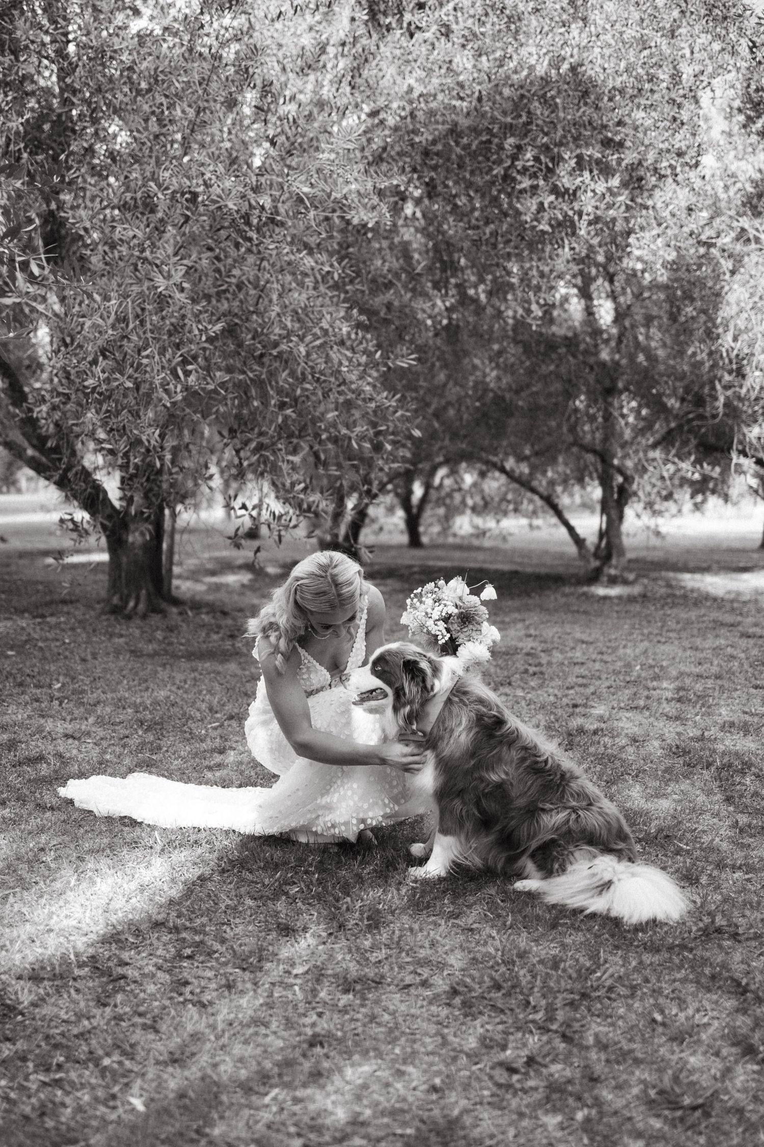 A tender moment between a bride and her large dog in a black and white photo under trees.
