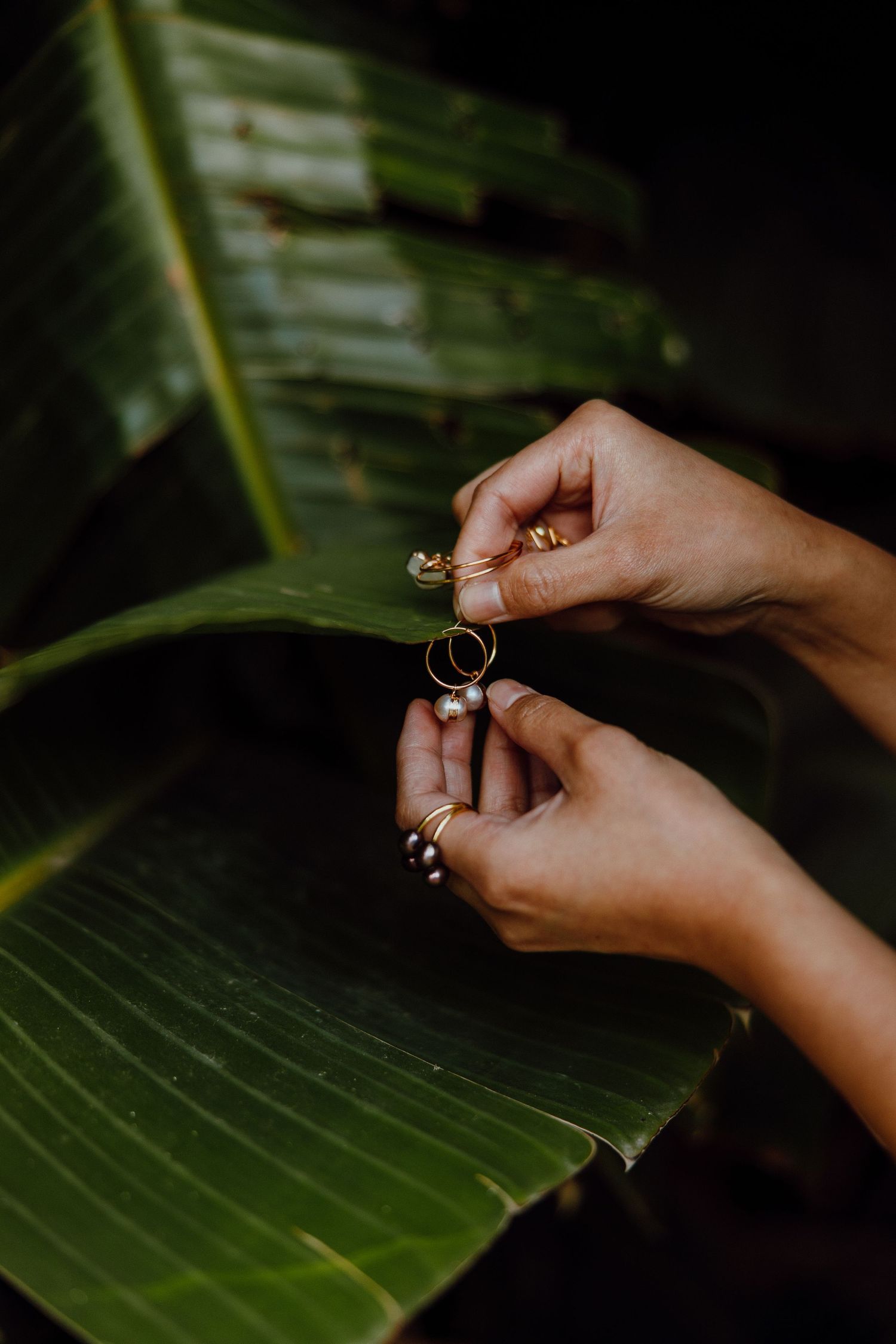 Hands holding wedding rings against a large green banana leaf background in moody lighting.
