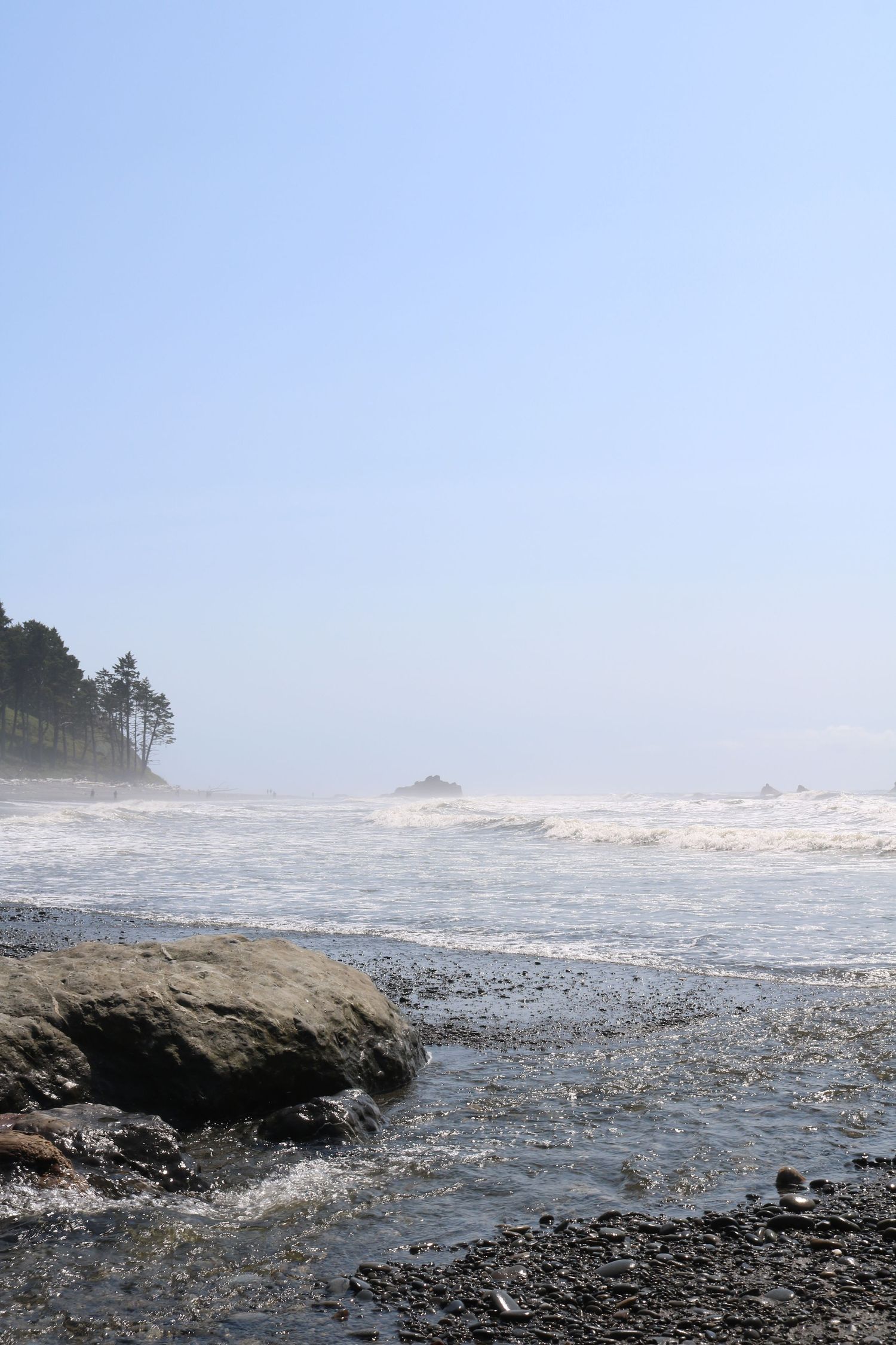 Misty coastal waves break on a rocky pebble beach beside tall evergreen trees under a pale blue sky.