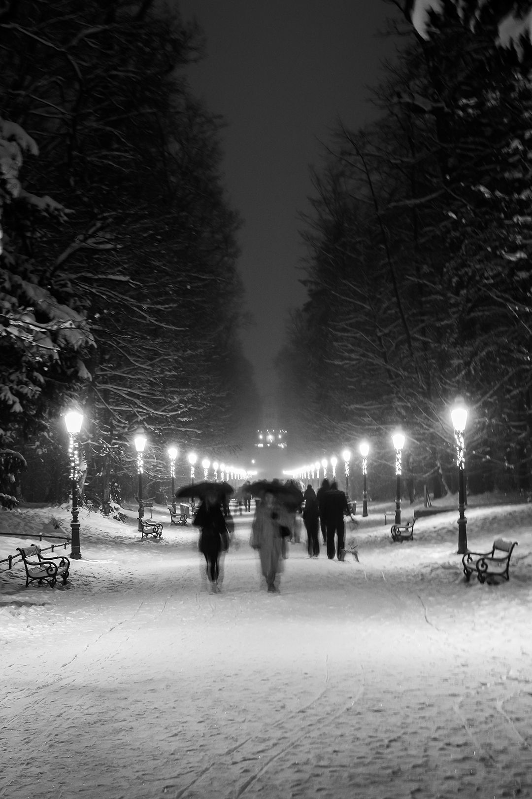 Crno bijele fotografije Zagreba, park Maksimir, sniježni prekrivač po šetnici