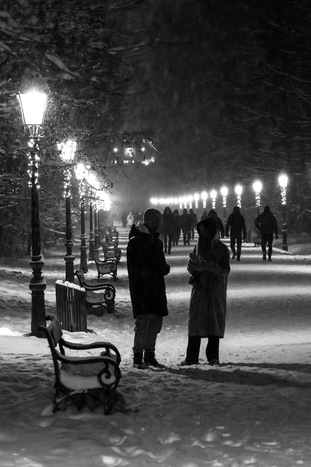 Fotografija parka Maksimir pod snijegom u noćnim satima