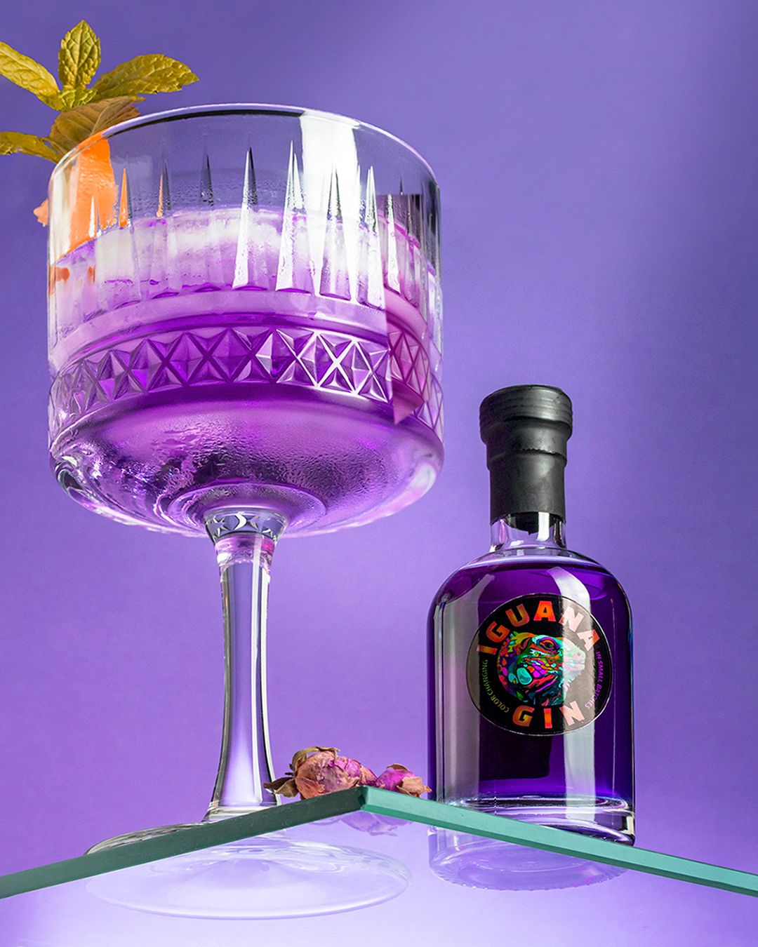 Iguana gin promotivna fotografija za društvene mreže. Produkt fotografija