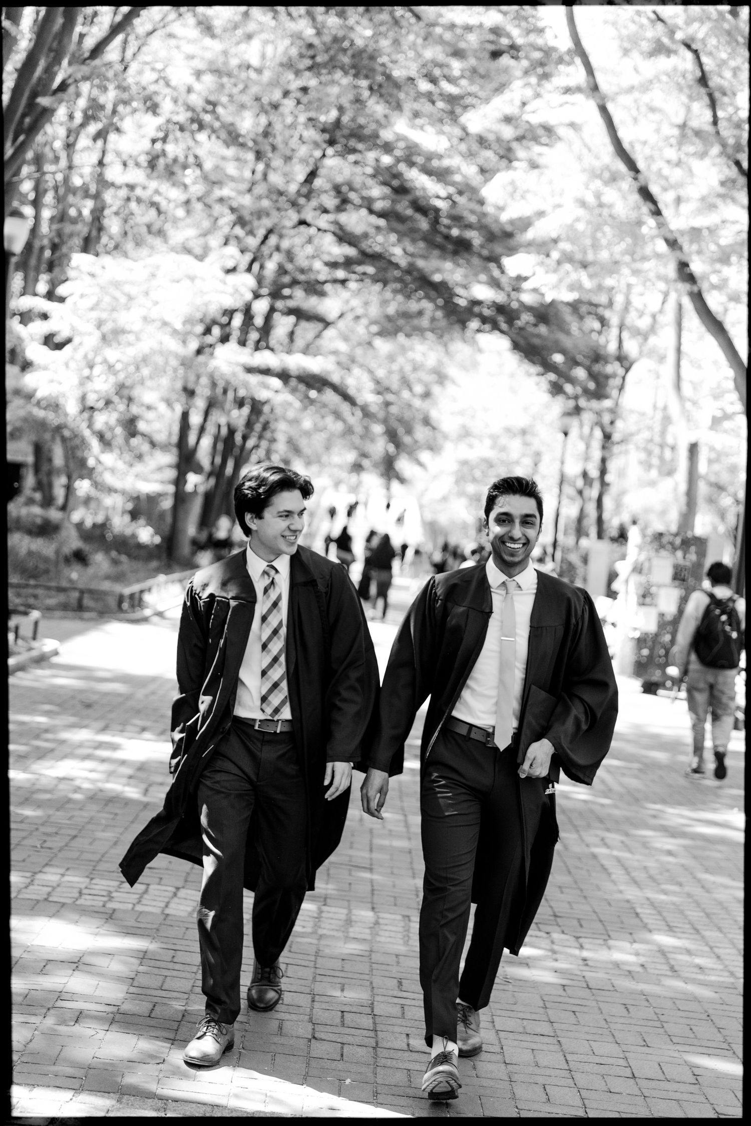 Black and white photo of graduates walking and laughing on tree-lined campus path.