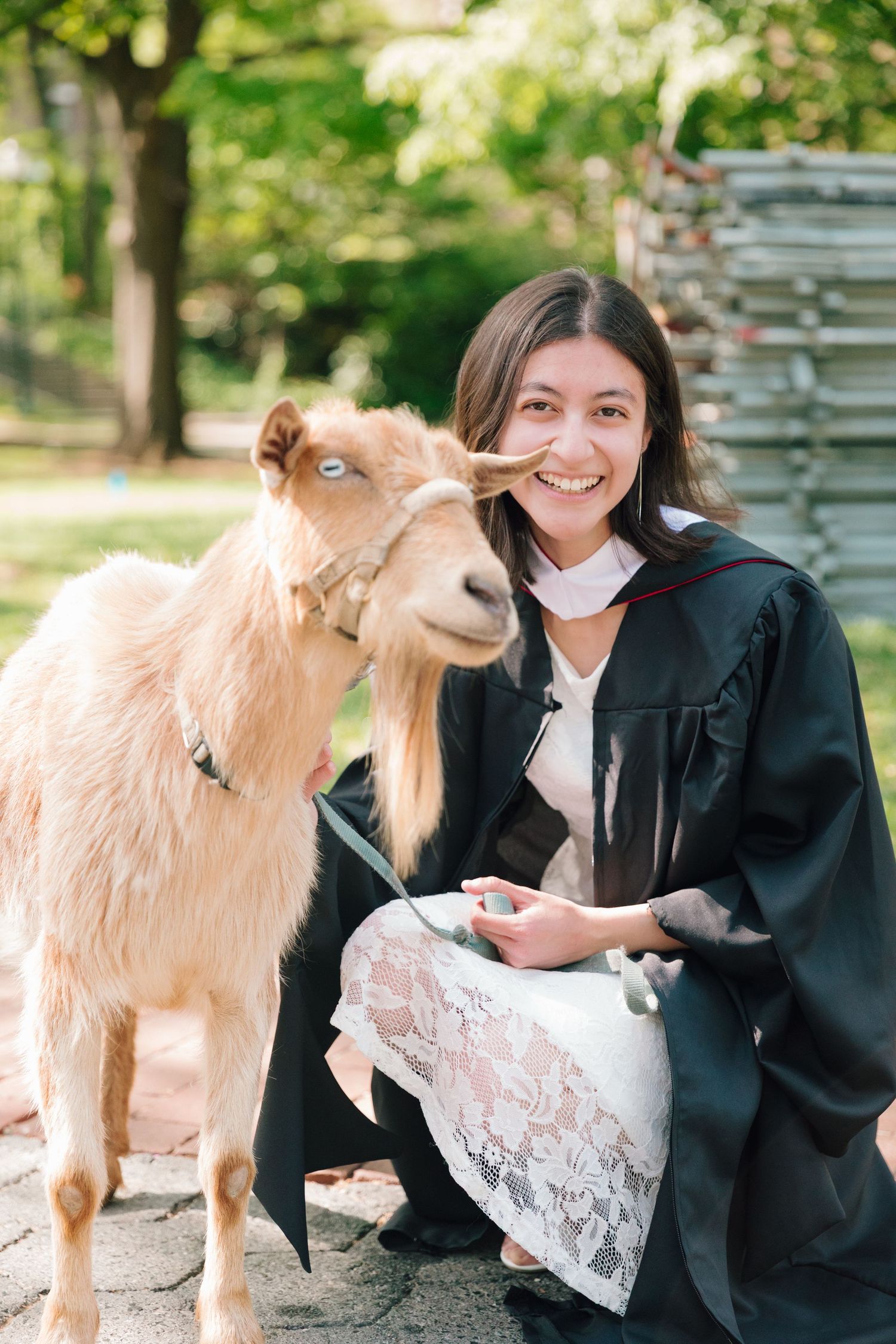 Graduate in cap and gown poses with friendly goats during photo session.
