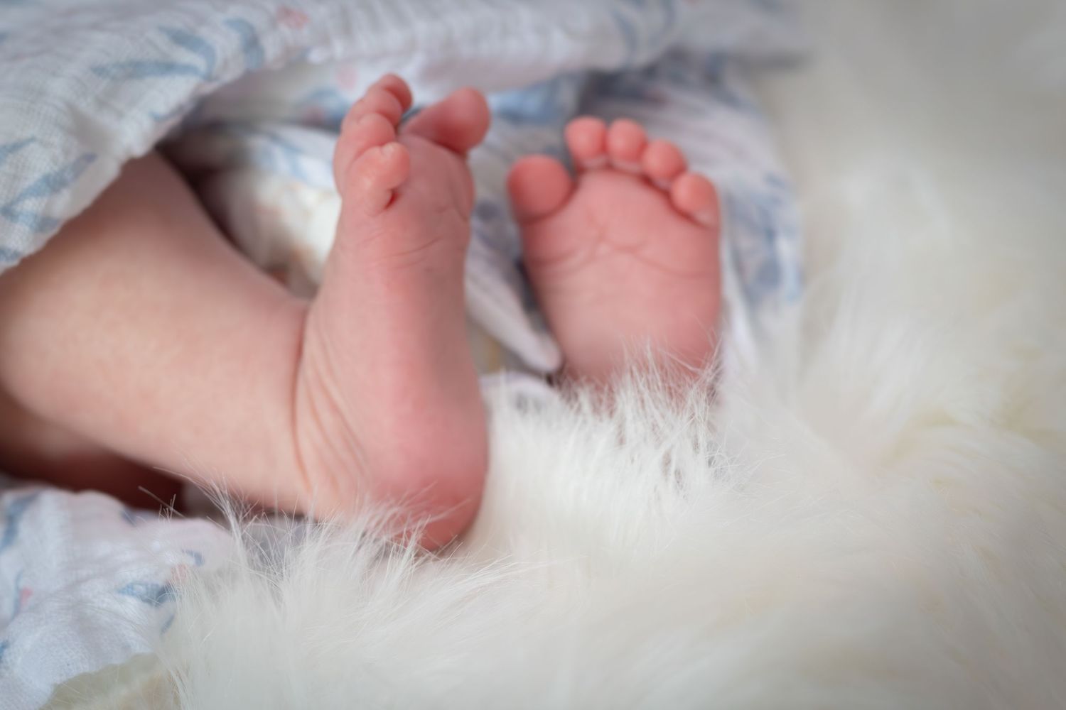 Delicate newborn baby feet resting on white fur blanket with blue swaddle.