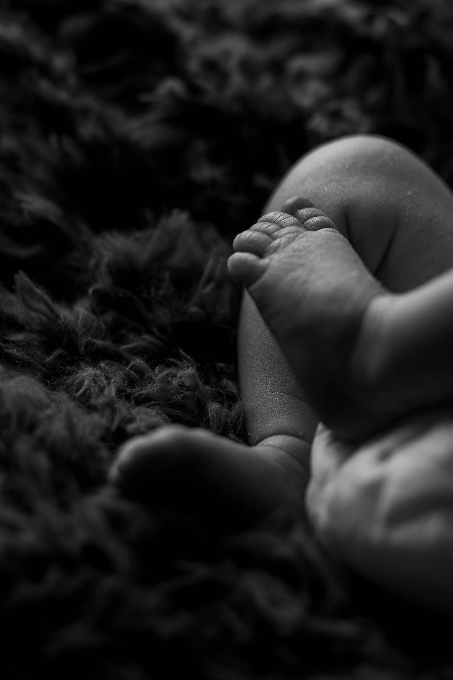 Close-up of tiny baby feet against dark textured blanket in black and white.