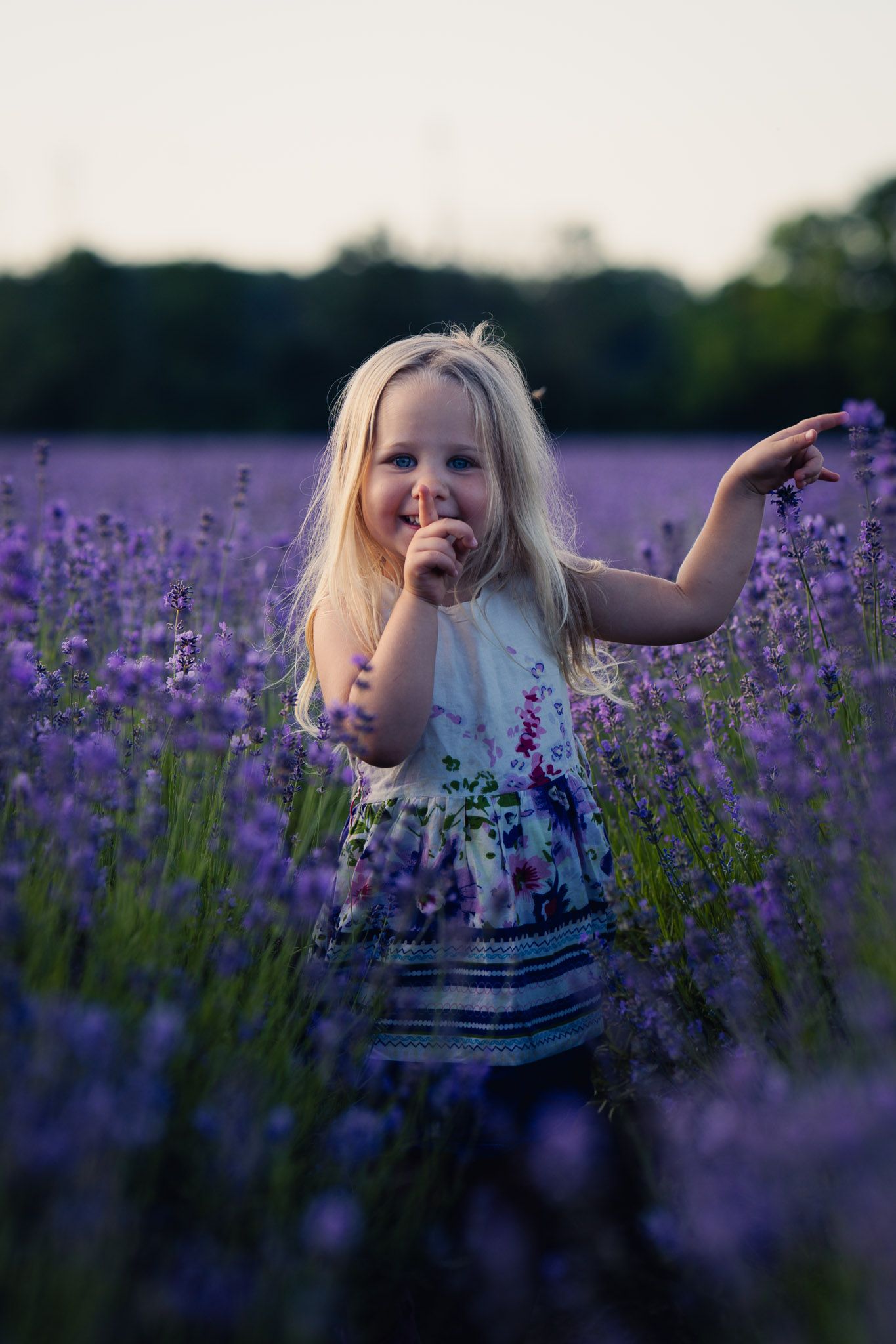 familienshooting lavendel niederösterreich