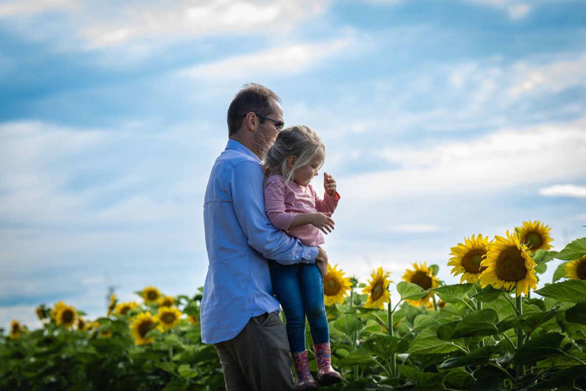 familienfotos in blühenden sonnenblumenfeldern Höflein