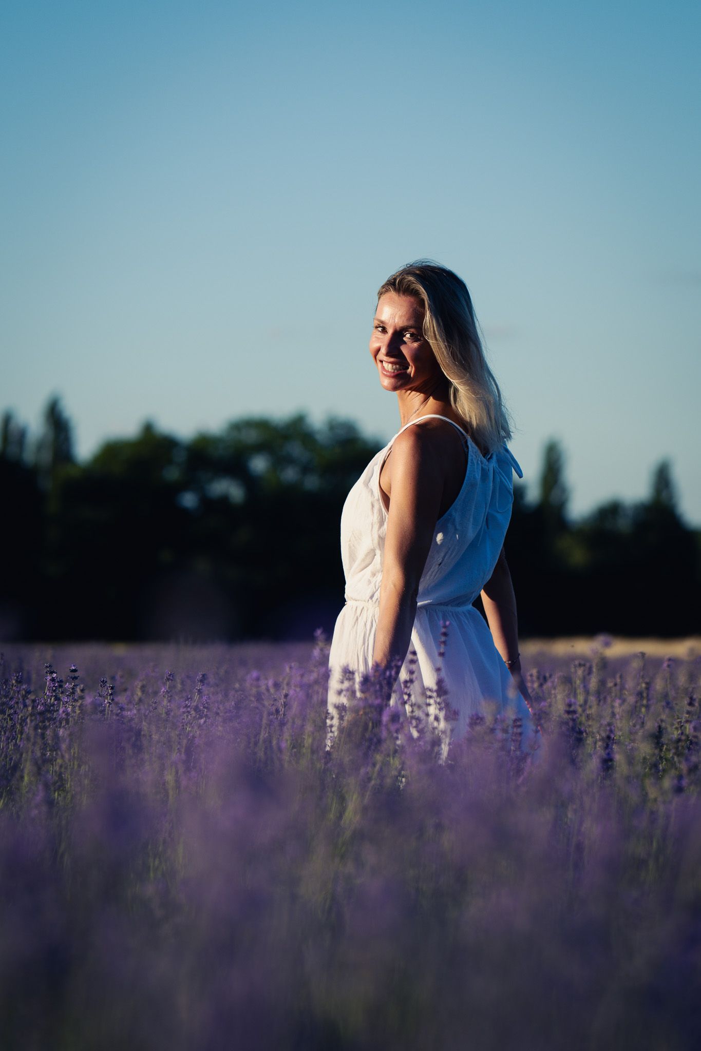 lavender photoshoot Vienna